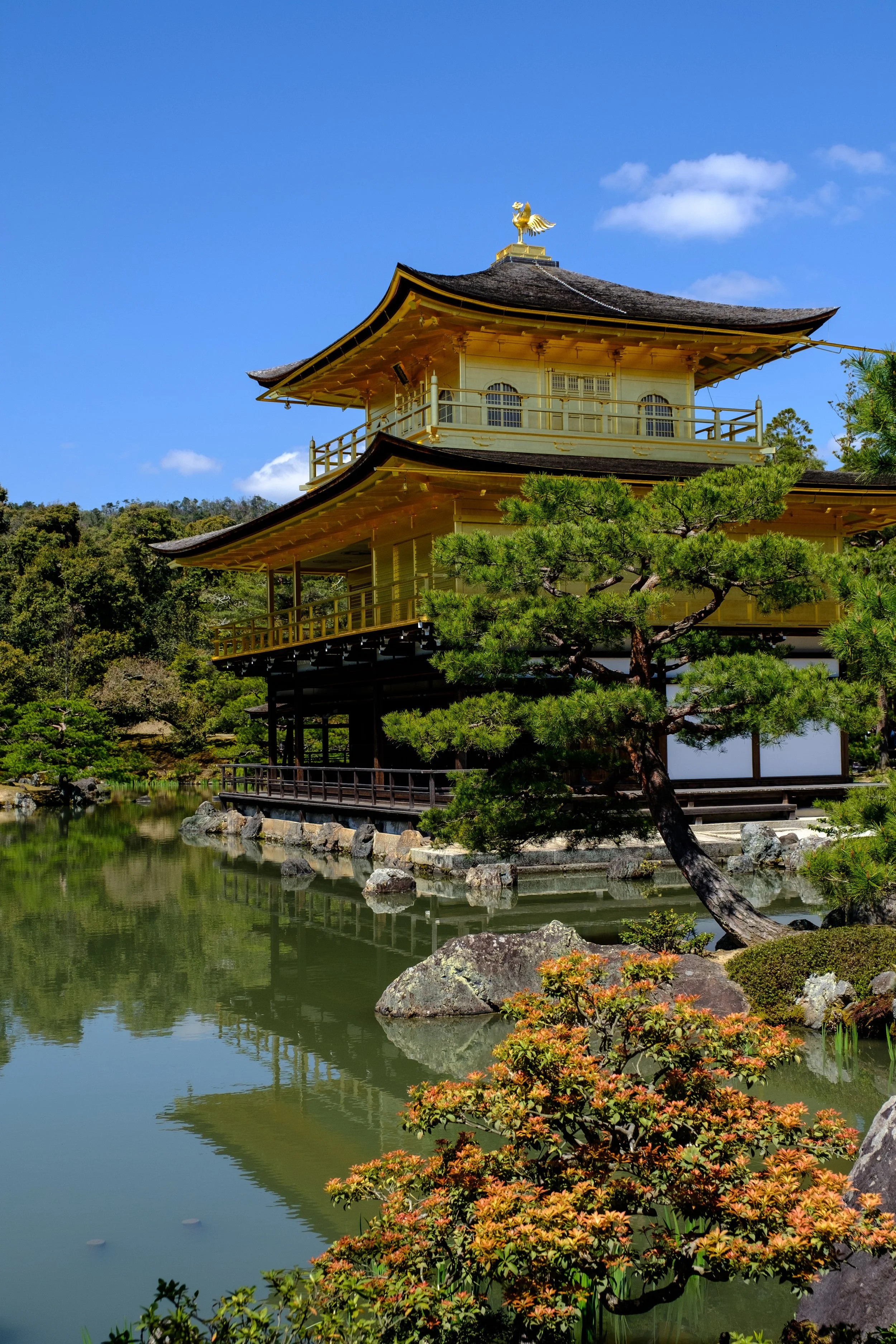Kinkaku-ji hofið, Kyoto