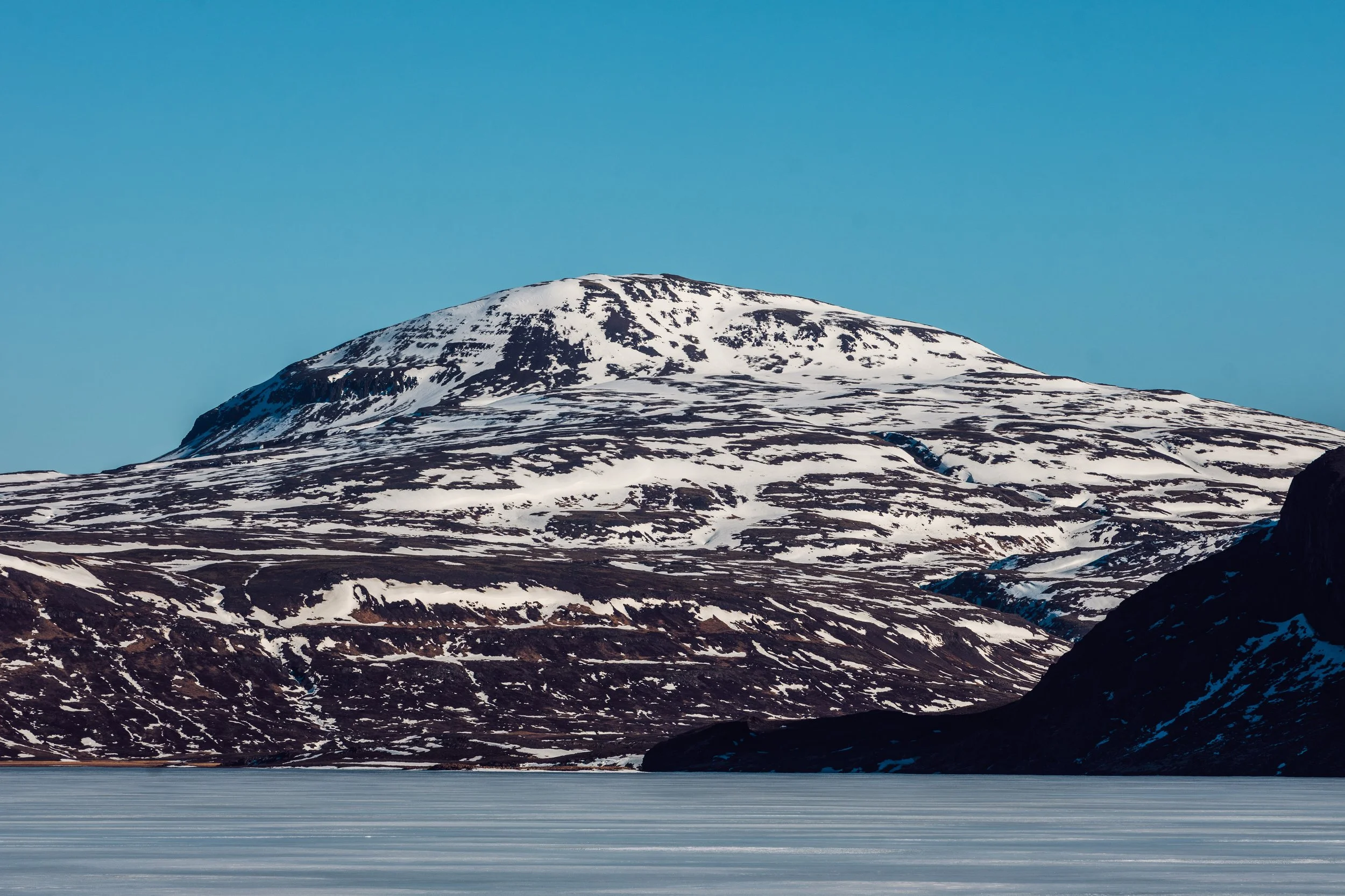 Svínbjúgur