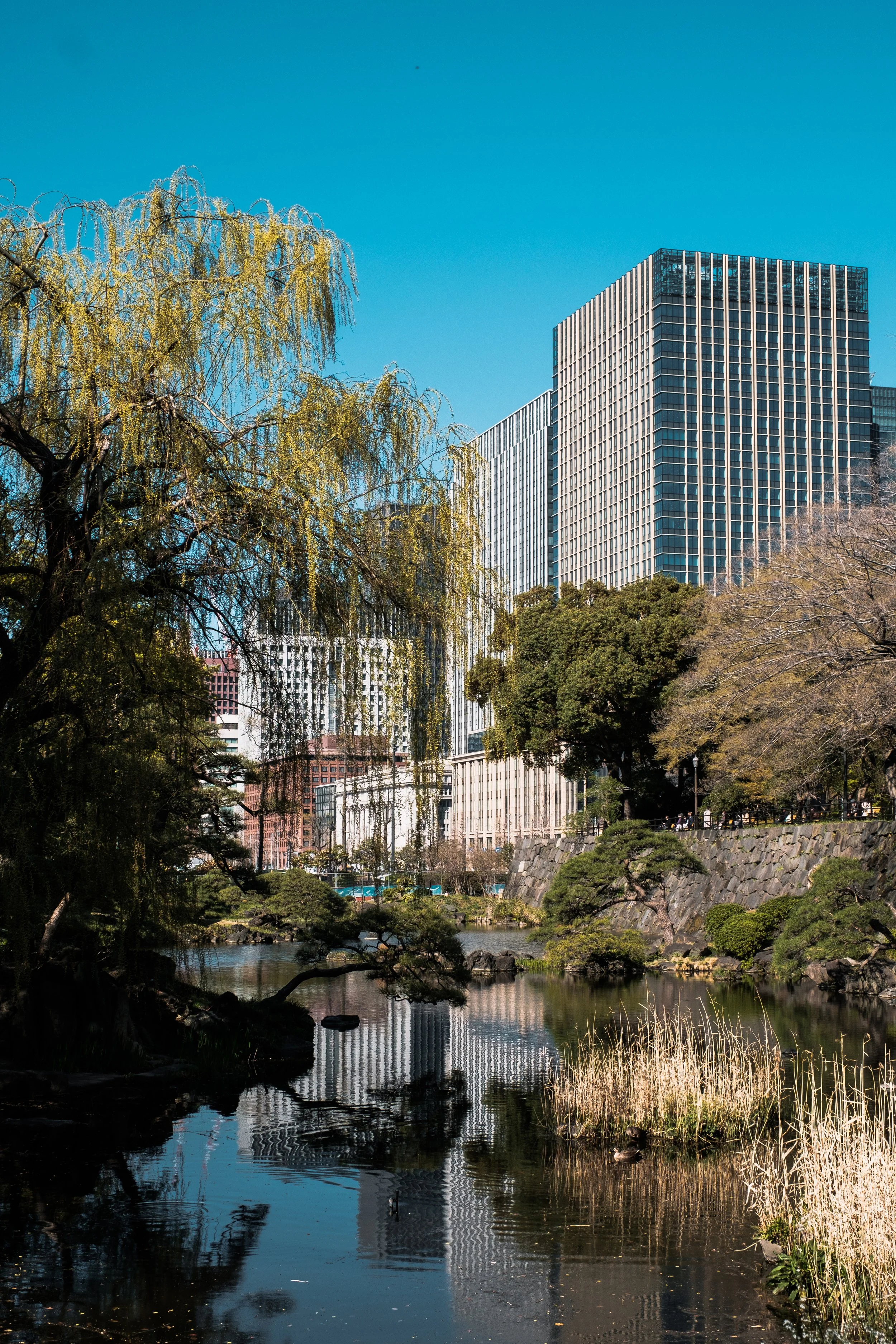 Hibiya Park, Tokyo