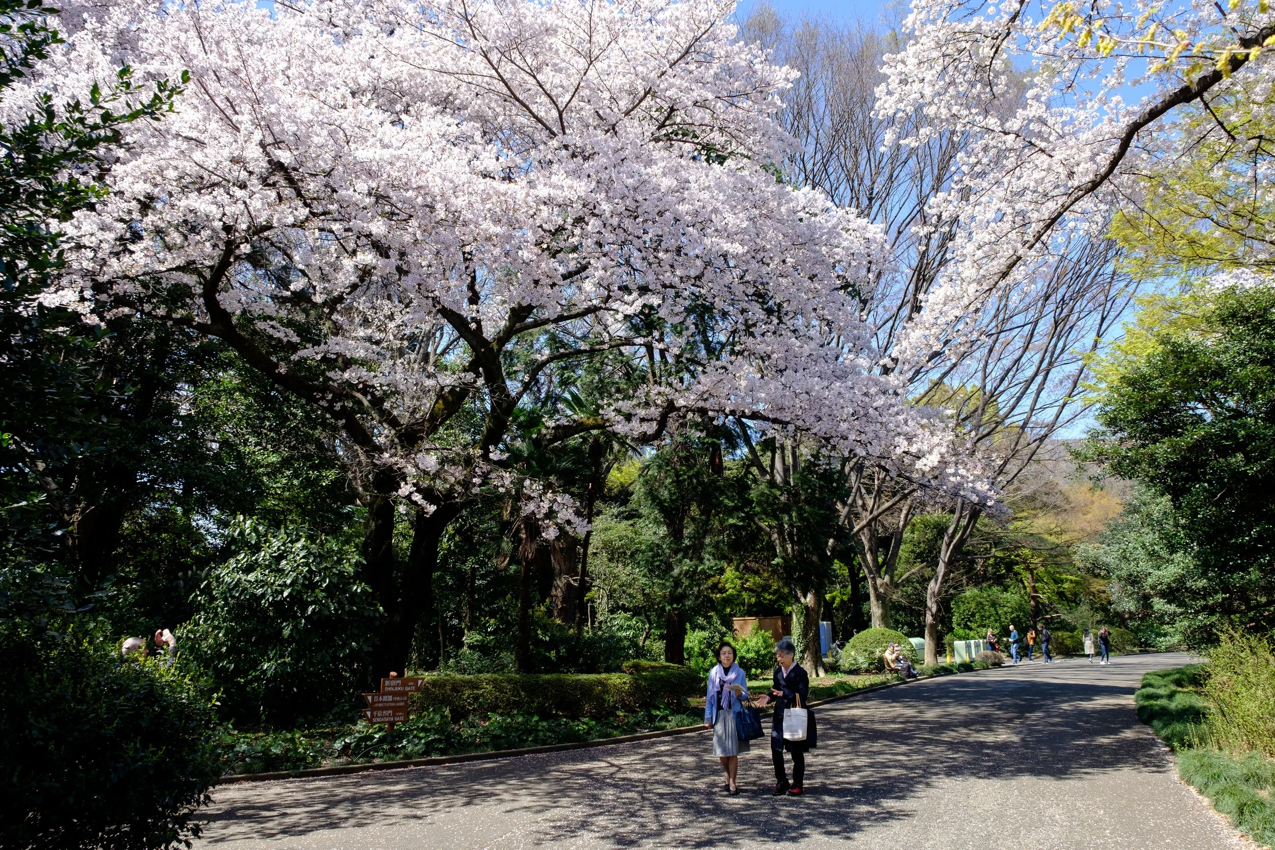 Goyen Park, Tokyo