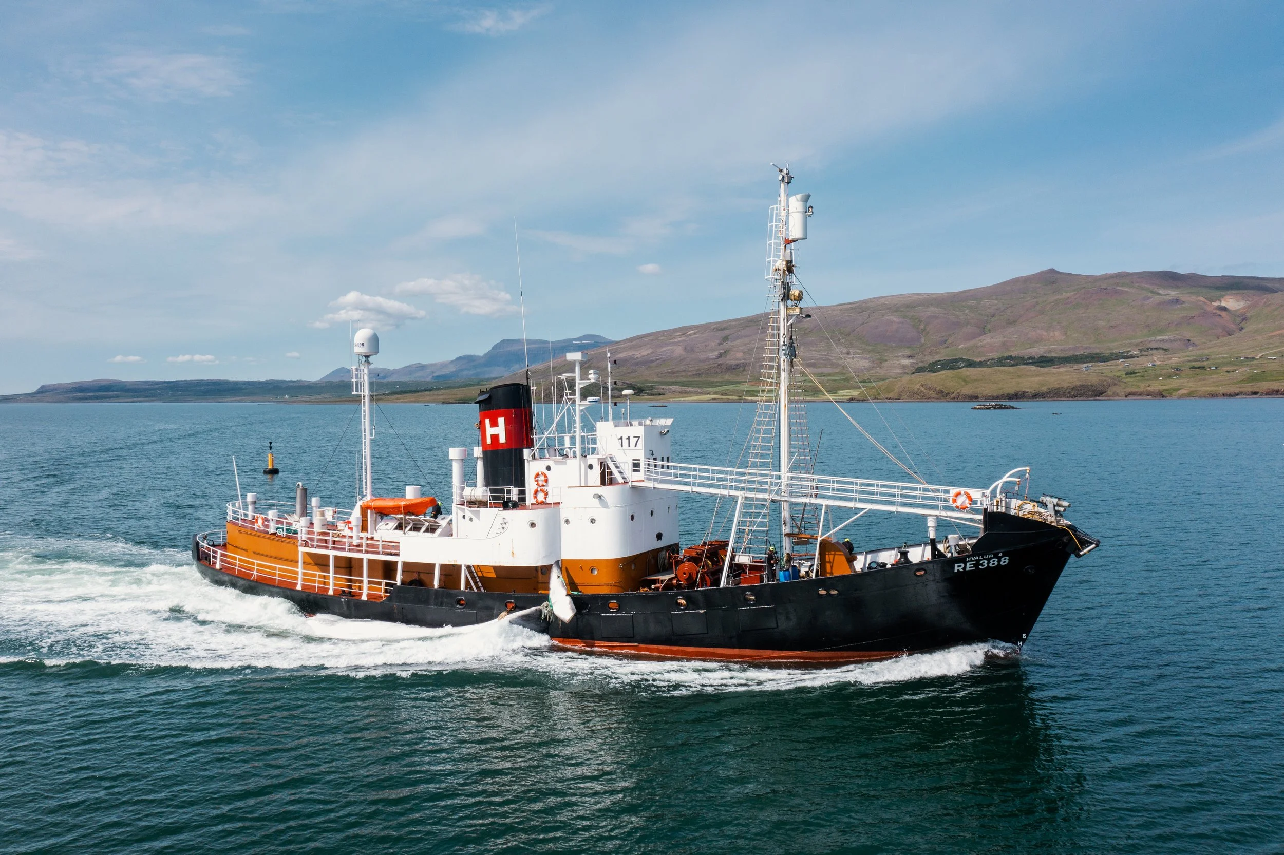Hvalur 8 @ Hvalfjörður (with fin whale)