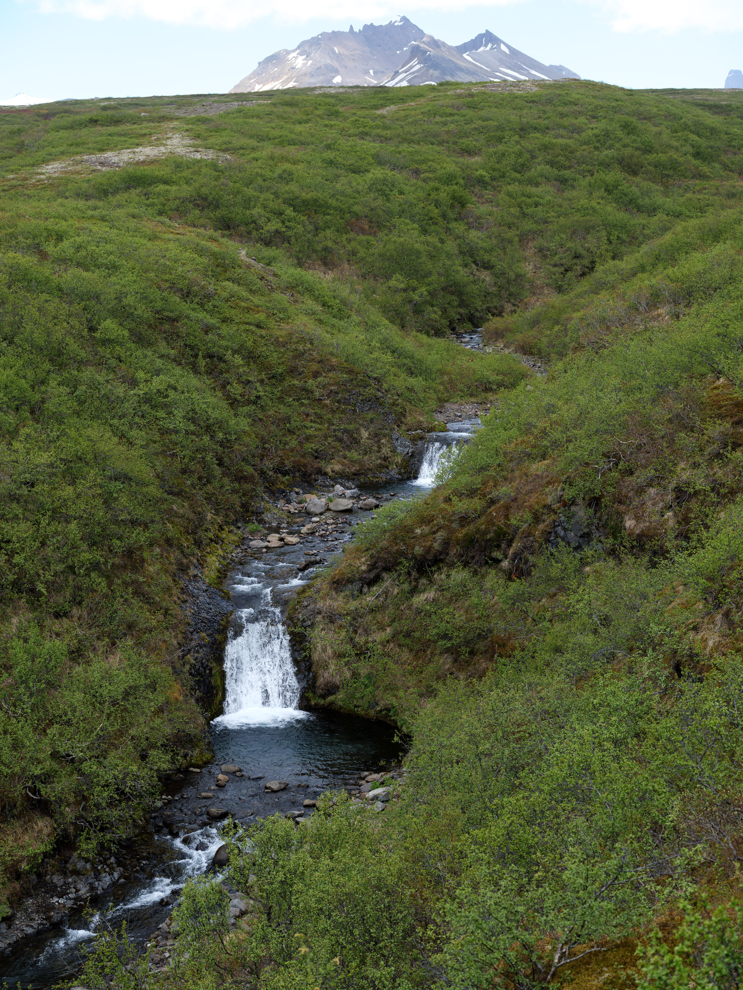 Háabuna in Skaftafell