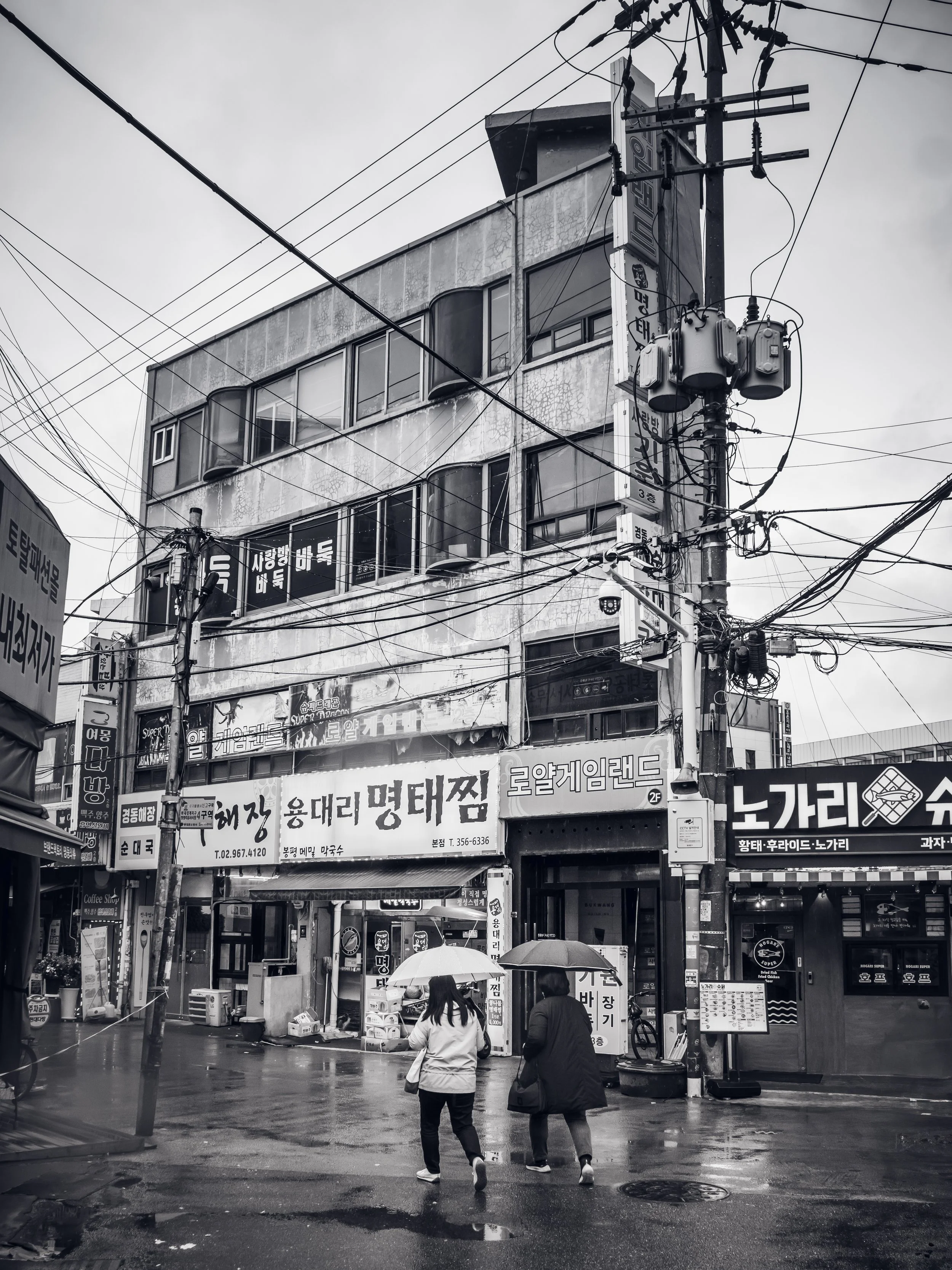 20250414-FXT52438-Edit.jpg