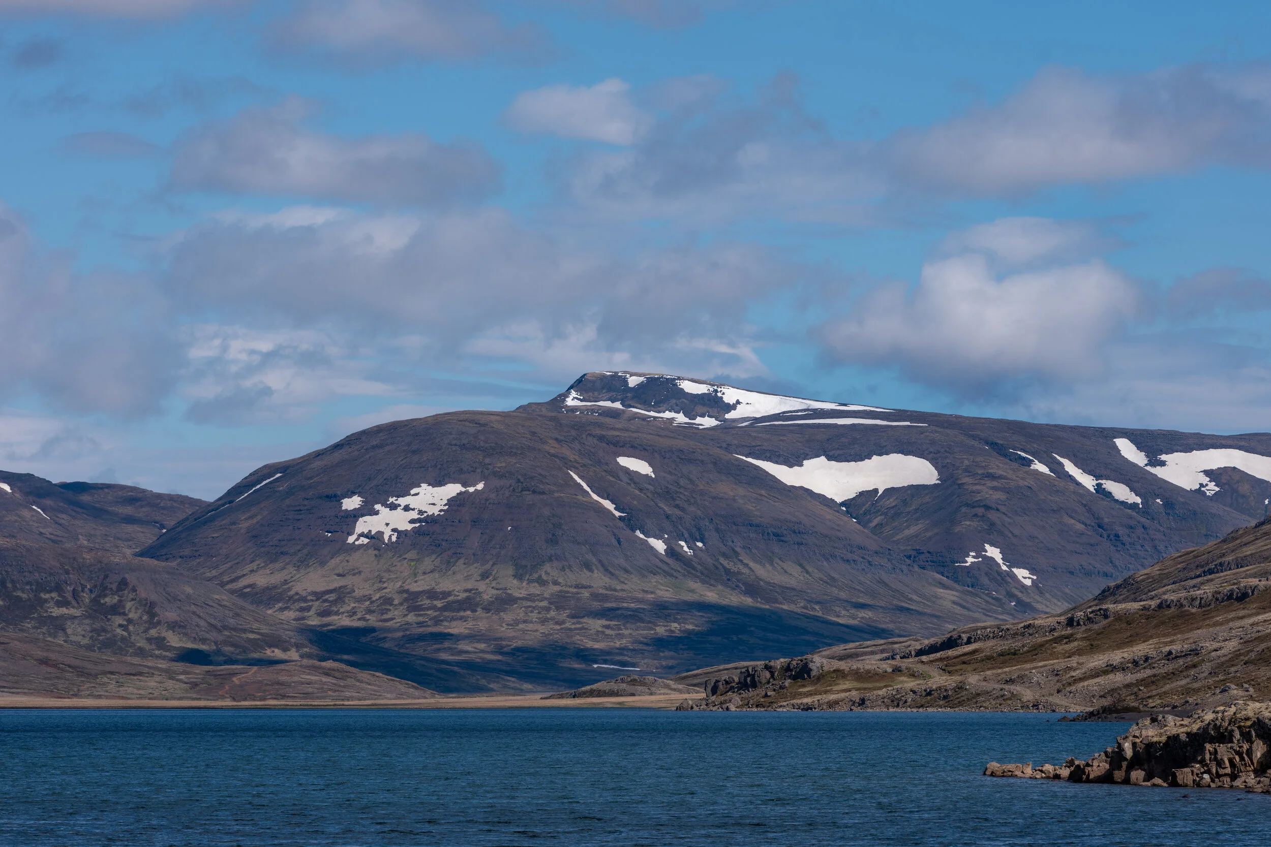 Víðimúli