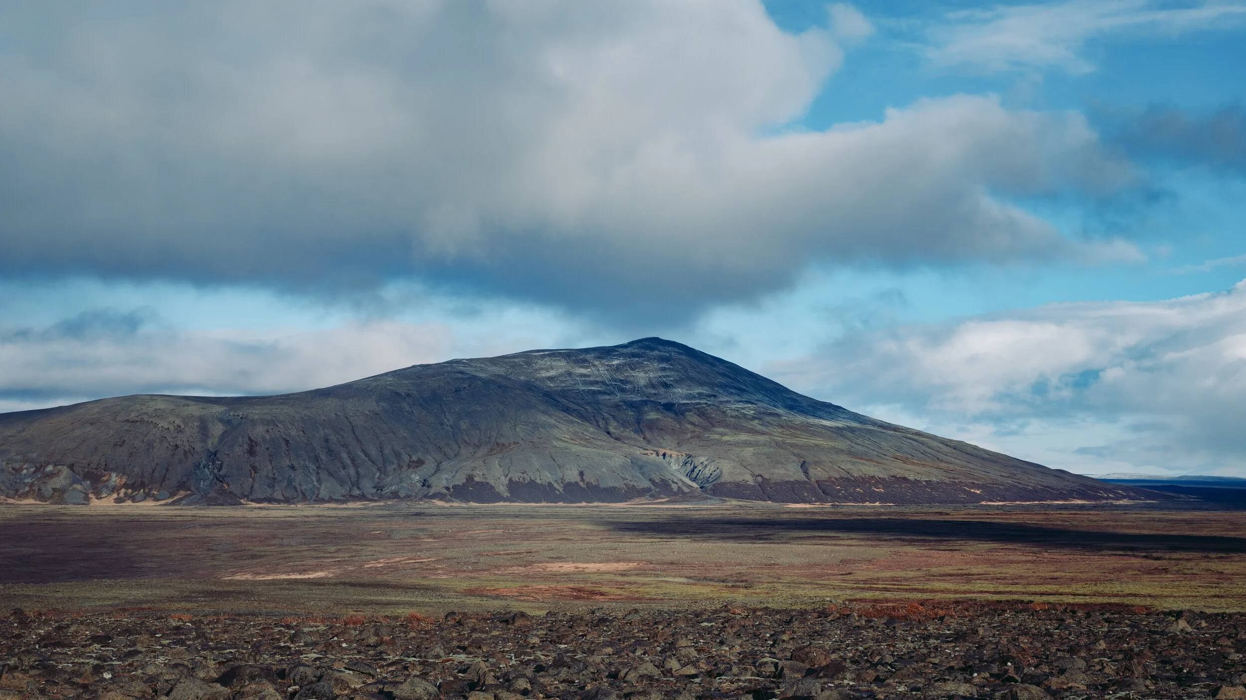 Strútur