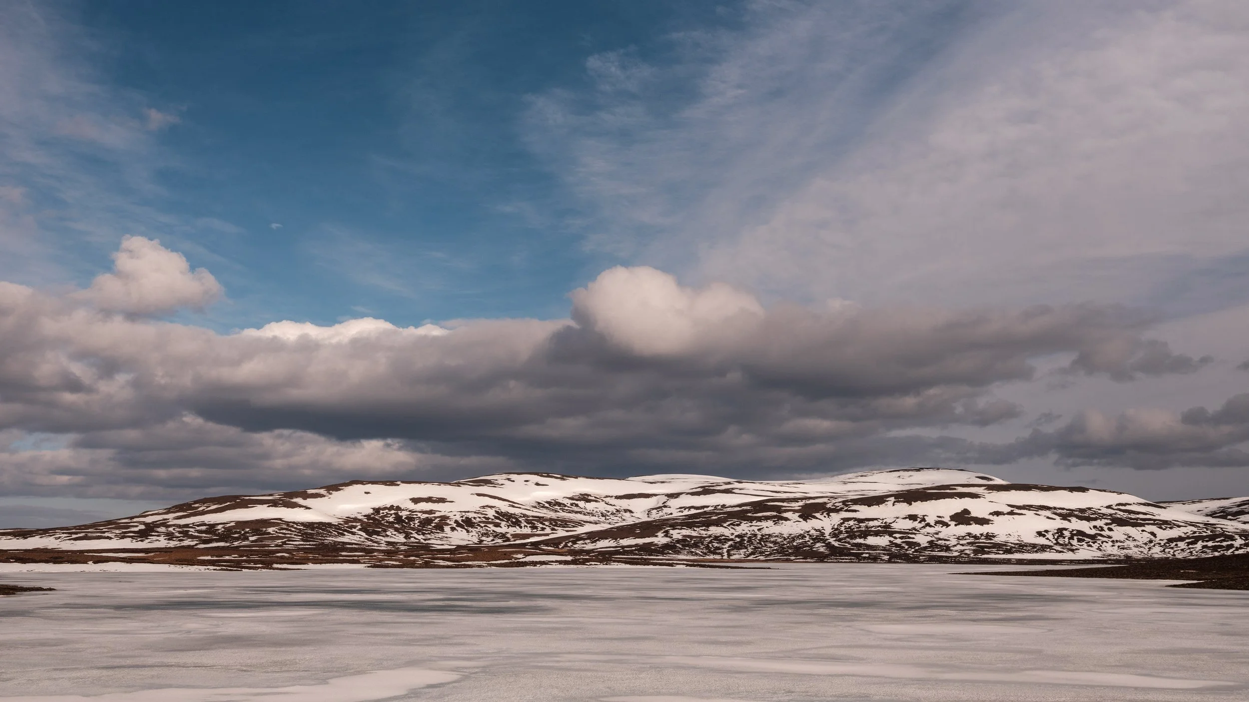 Selfjöll