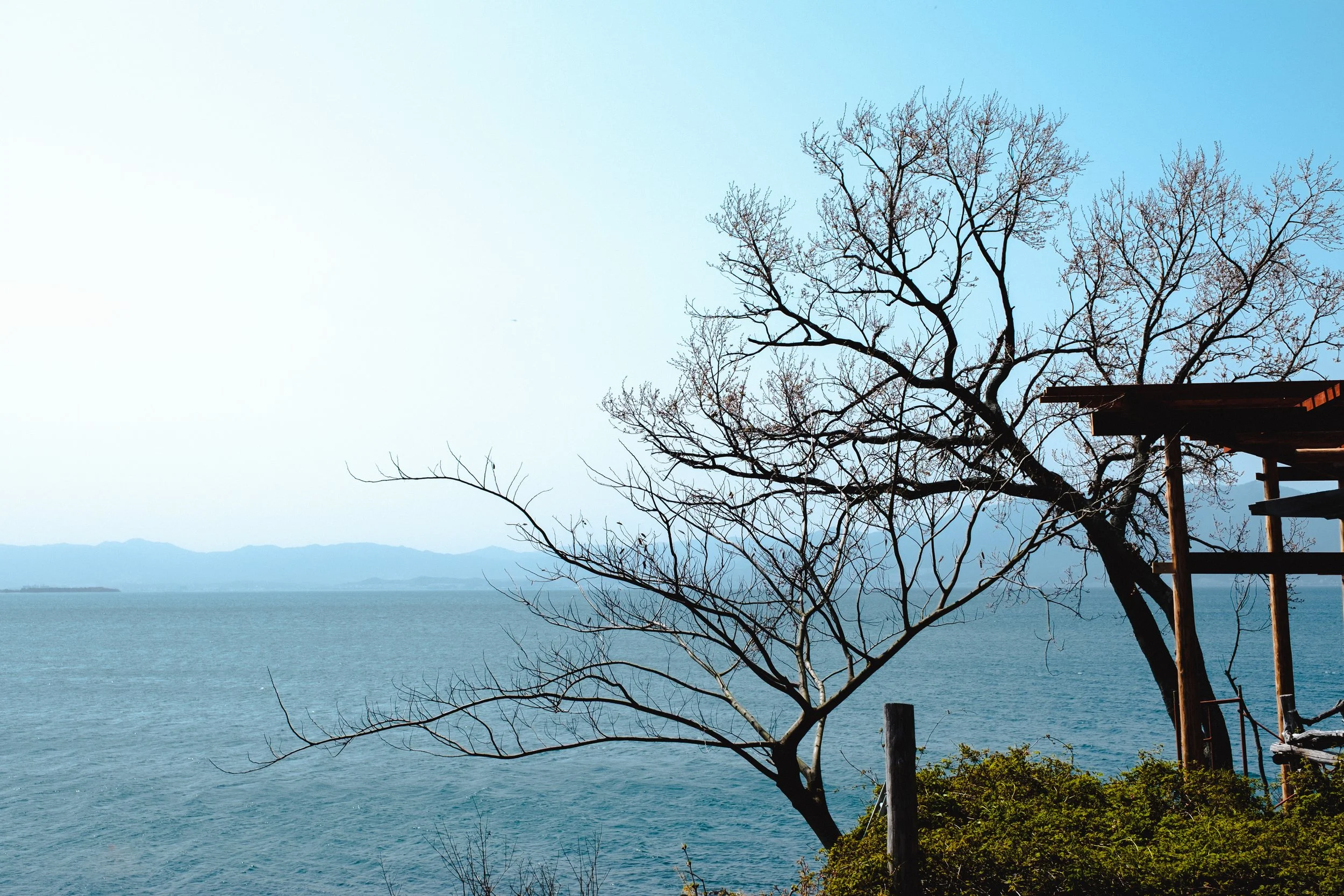 Hikone