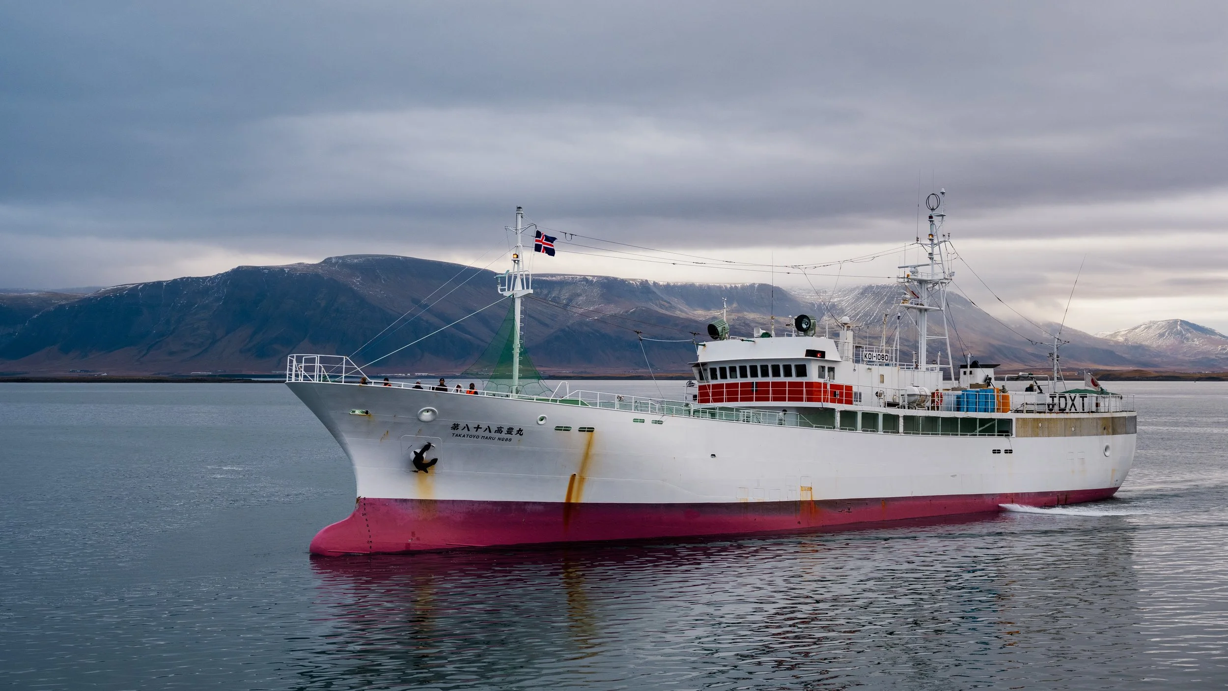 Takatoyo Maru NO.88 @ Reykjavík