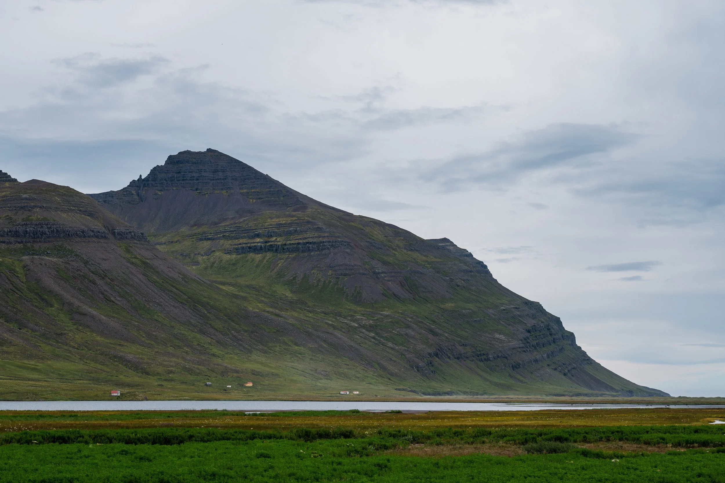 Skúmhöttur
