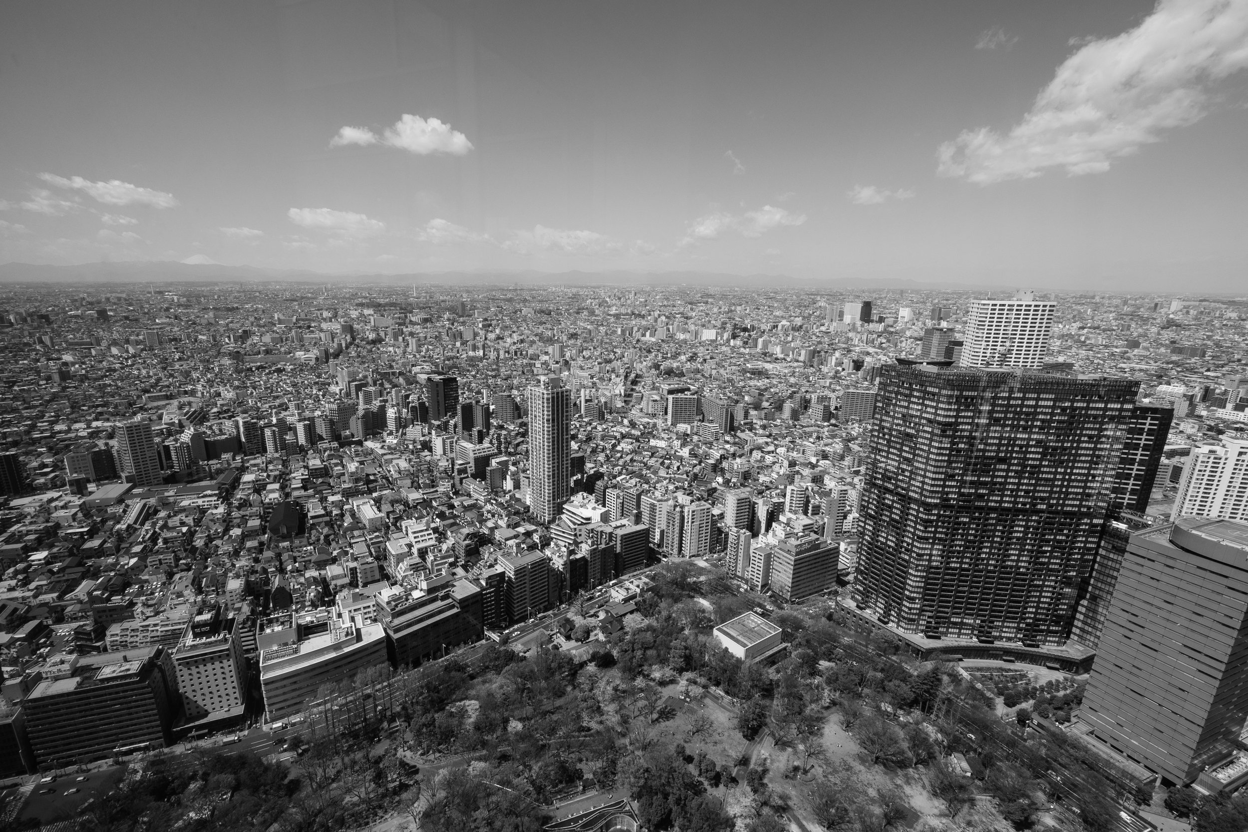 Útsýni frá Tokyo City Hall