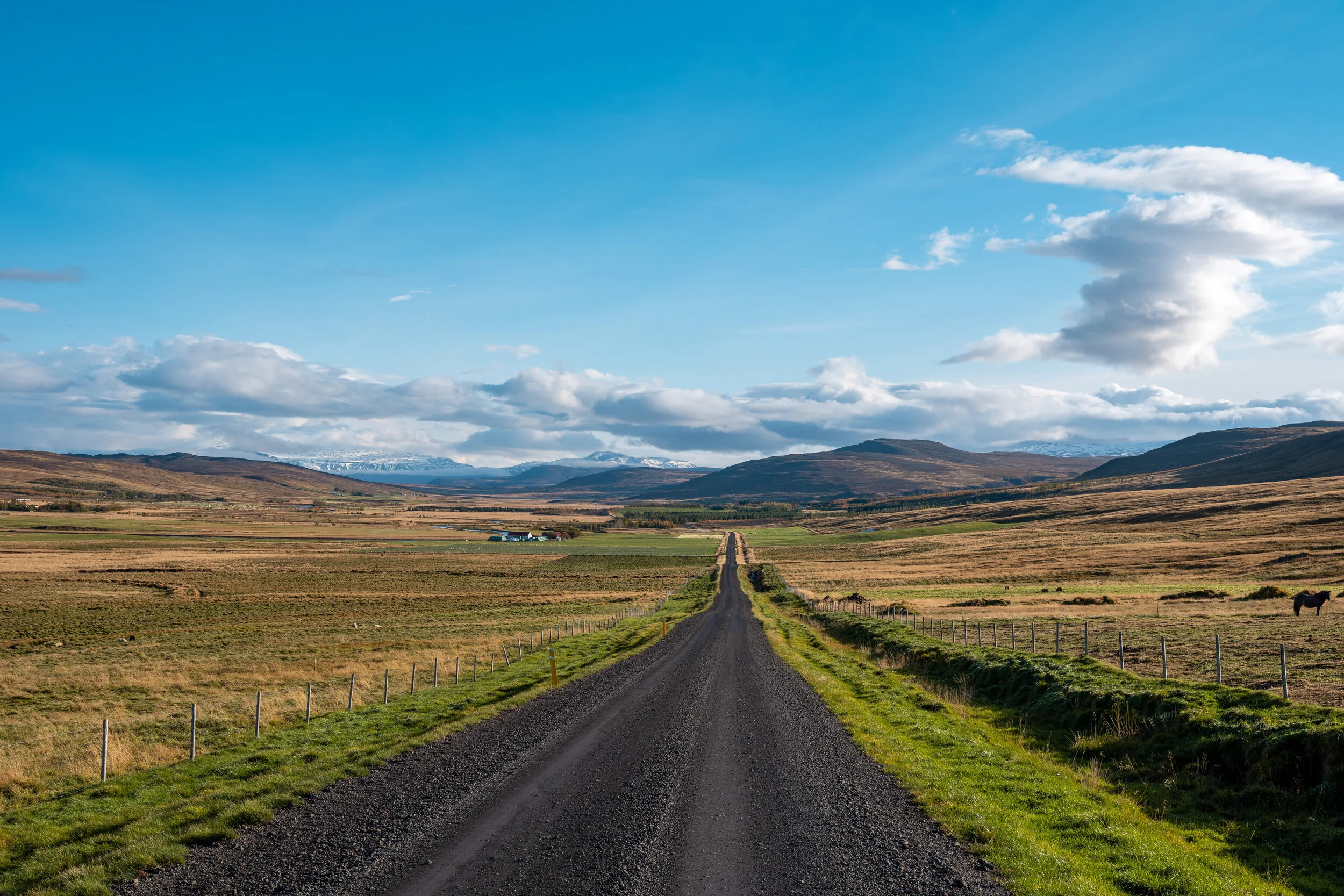 517 - Reykdælavegur