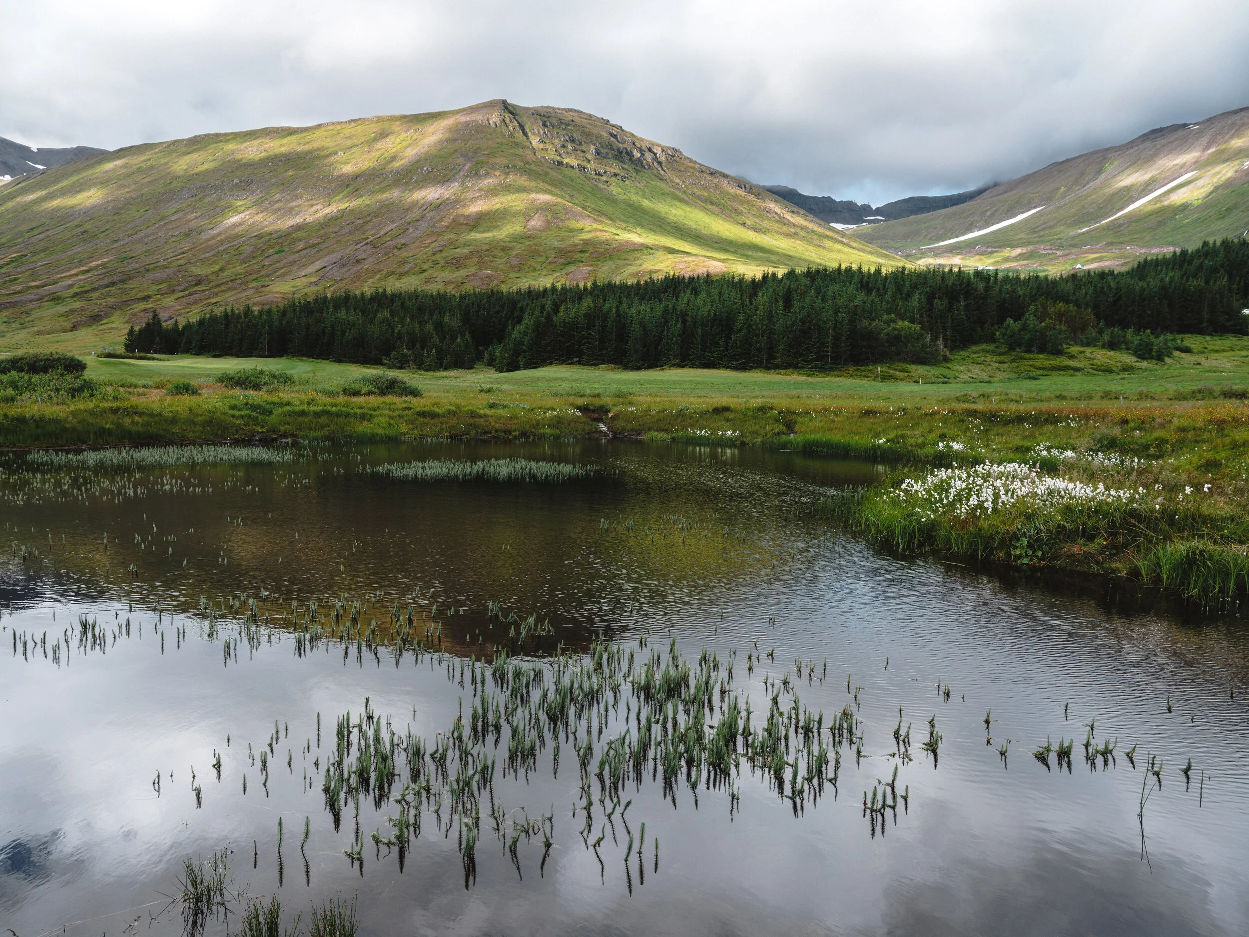 Súlur