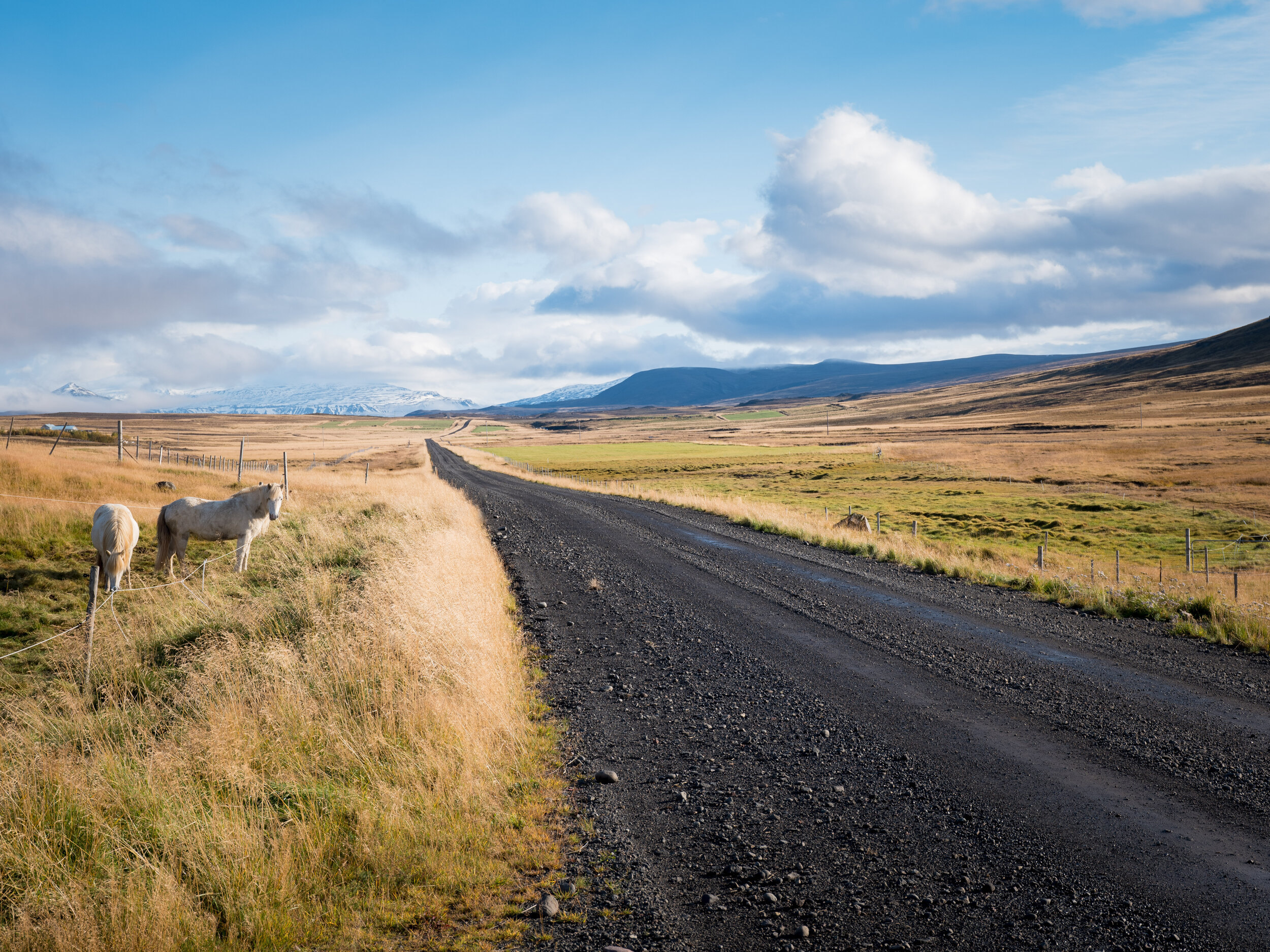 519 - Reykholtsdalsvegur