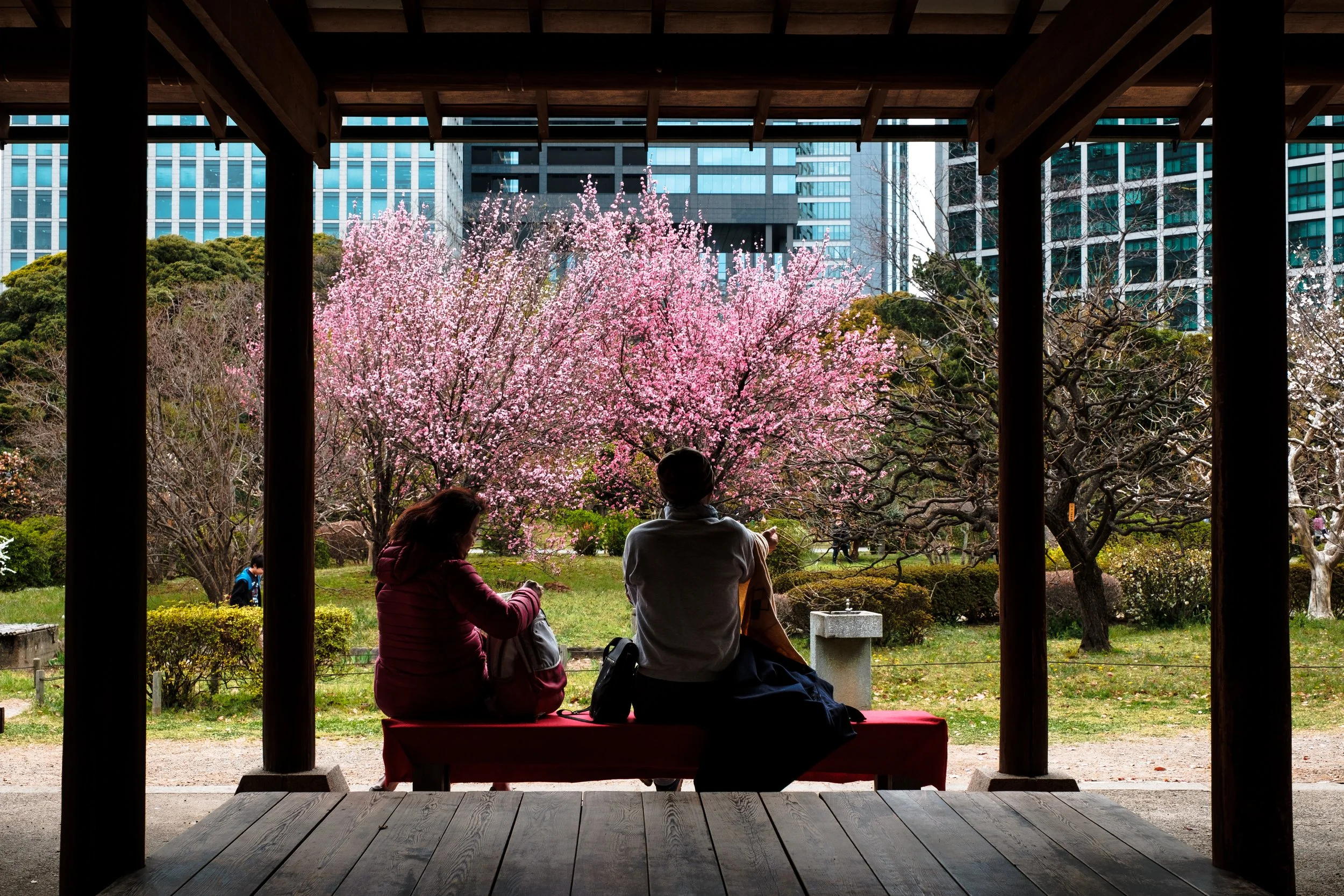 Hamarikyu Gardens, Tokyo