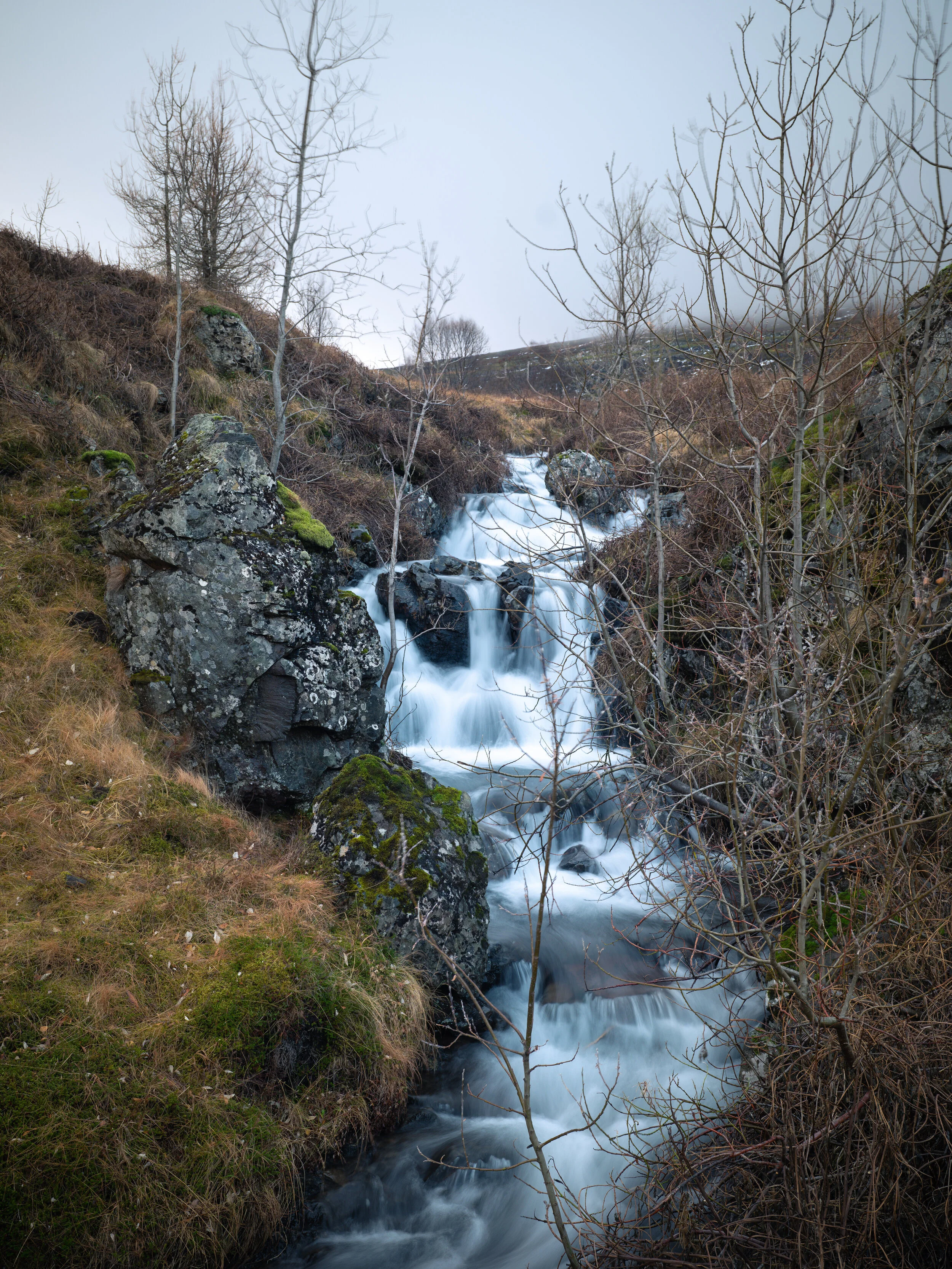 Svartifoss