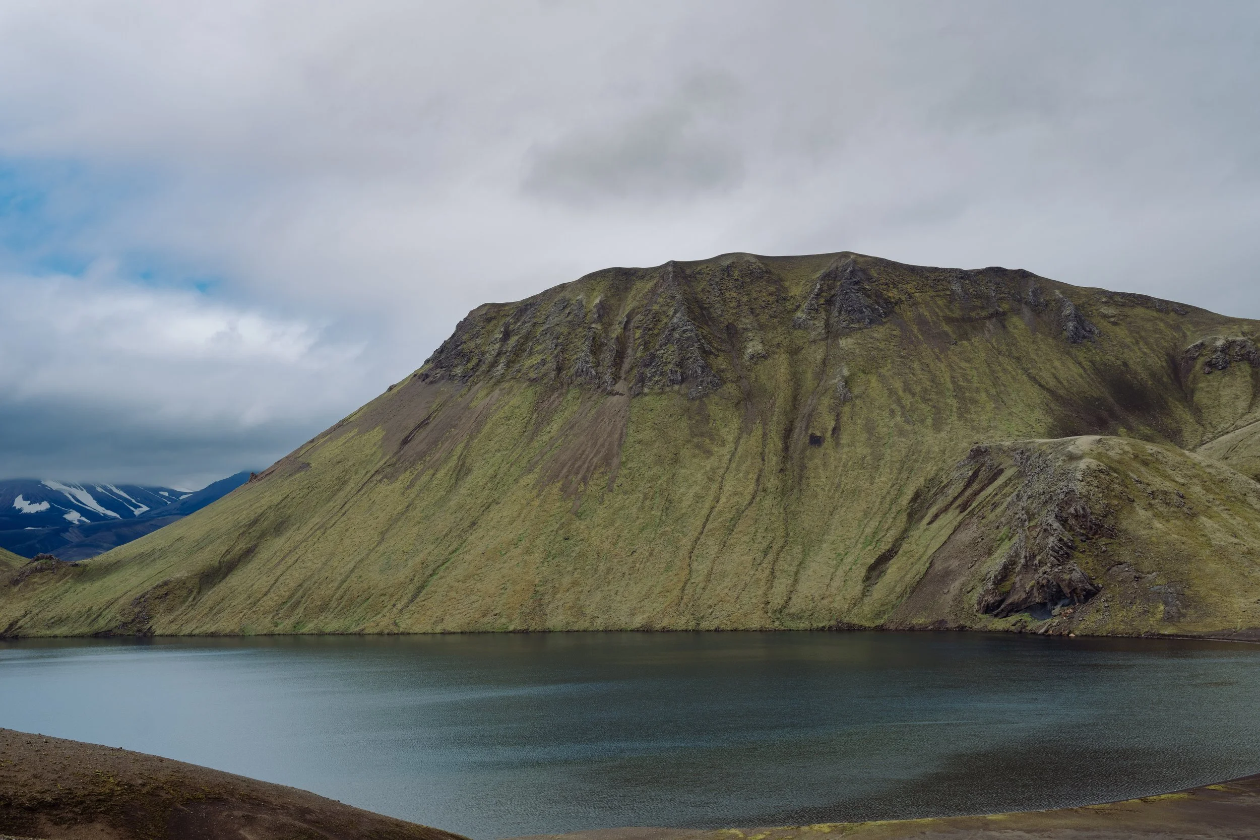 Sauðleysur