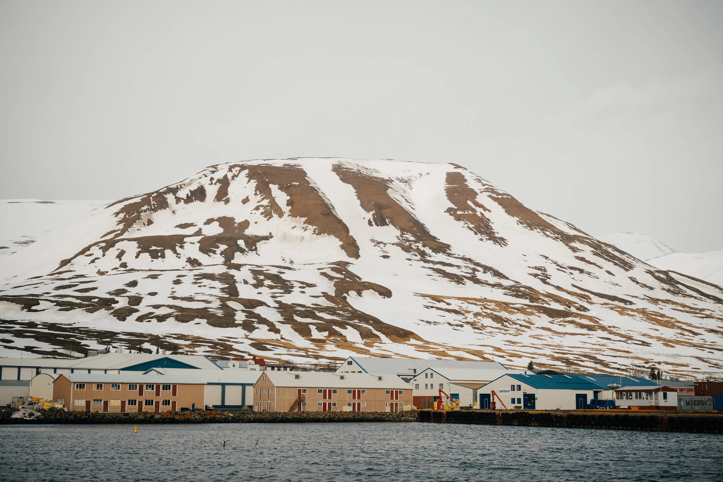 Böggvistaðafjall