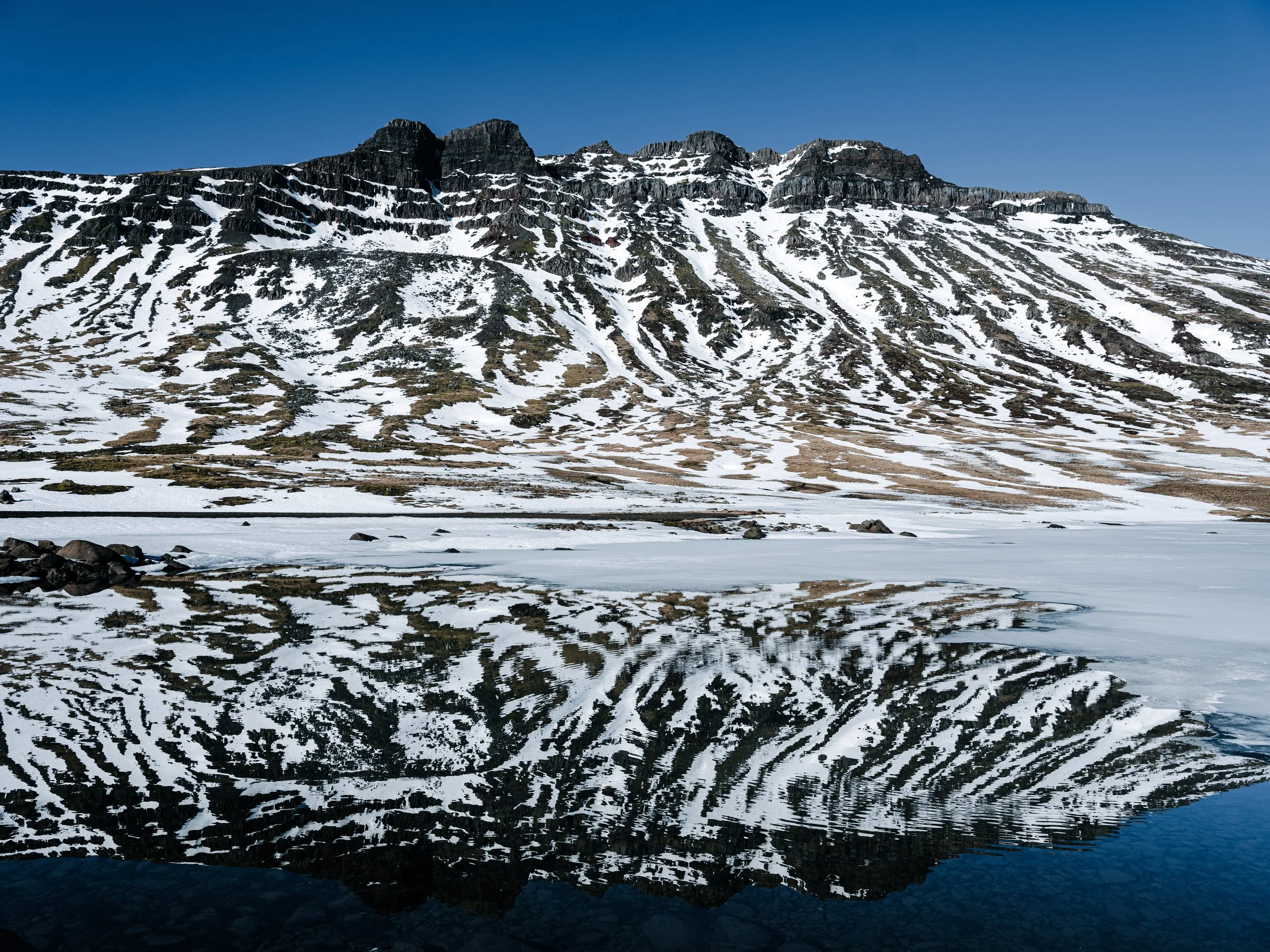Skálarkambur