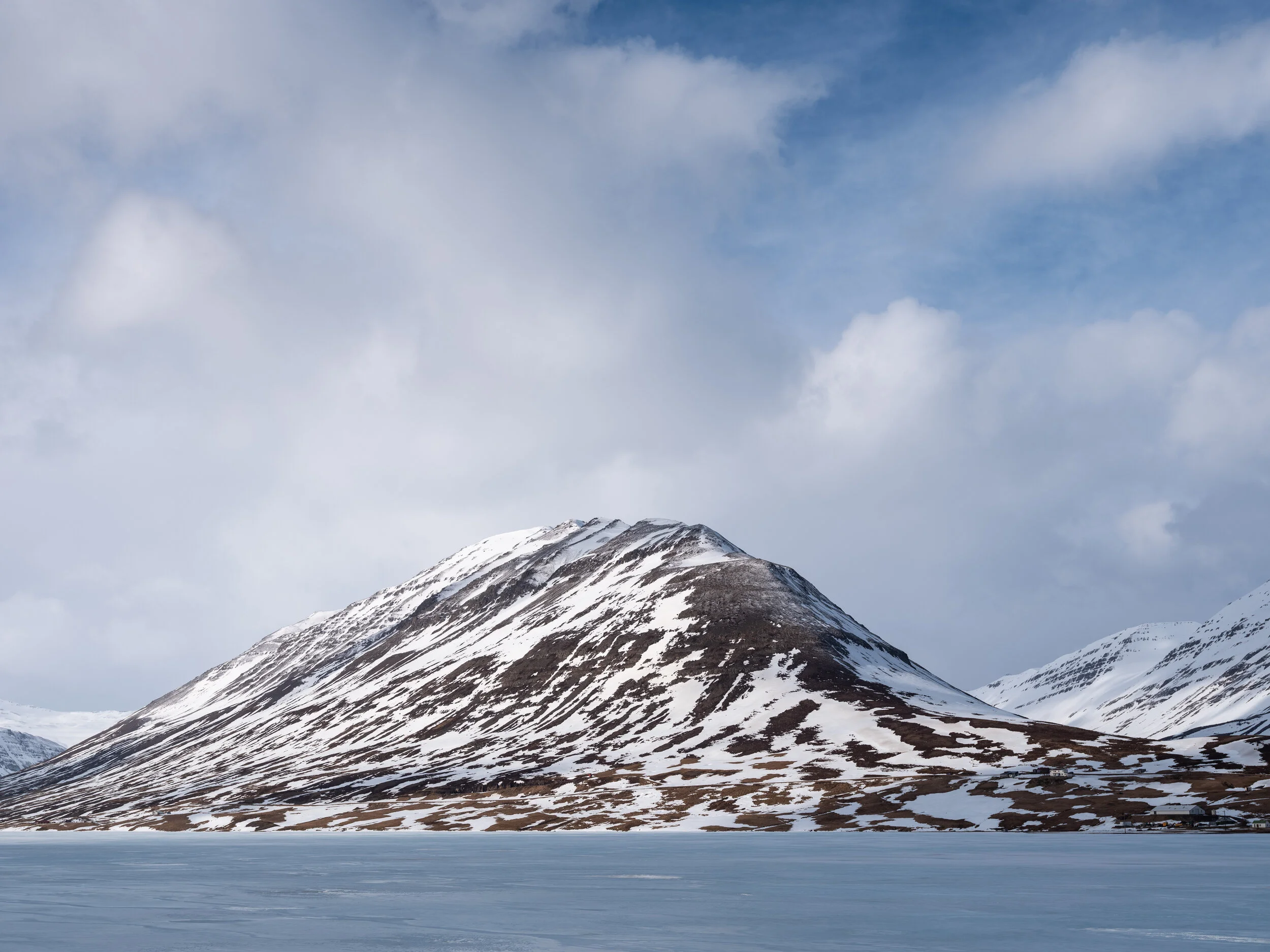 Auðnahyrna