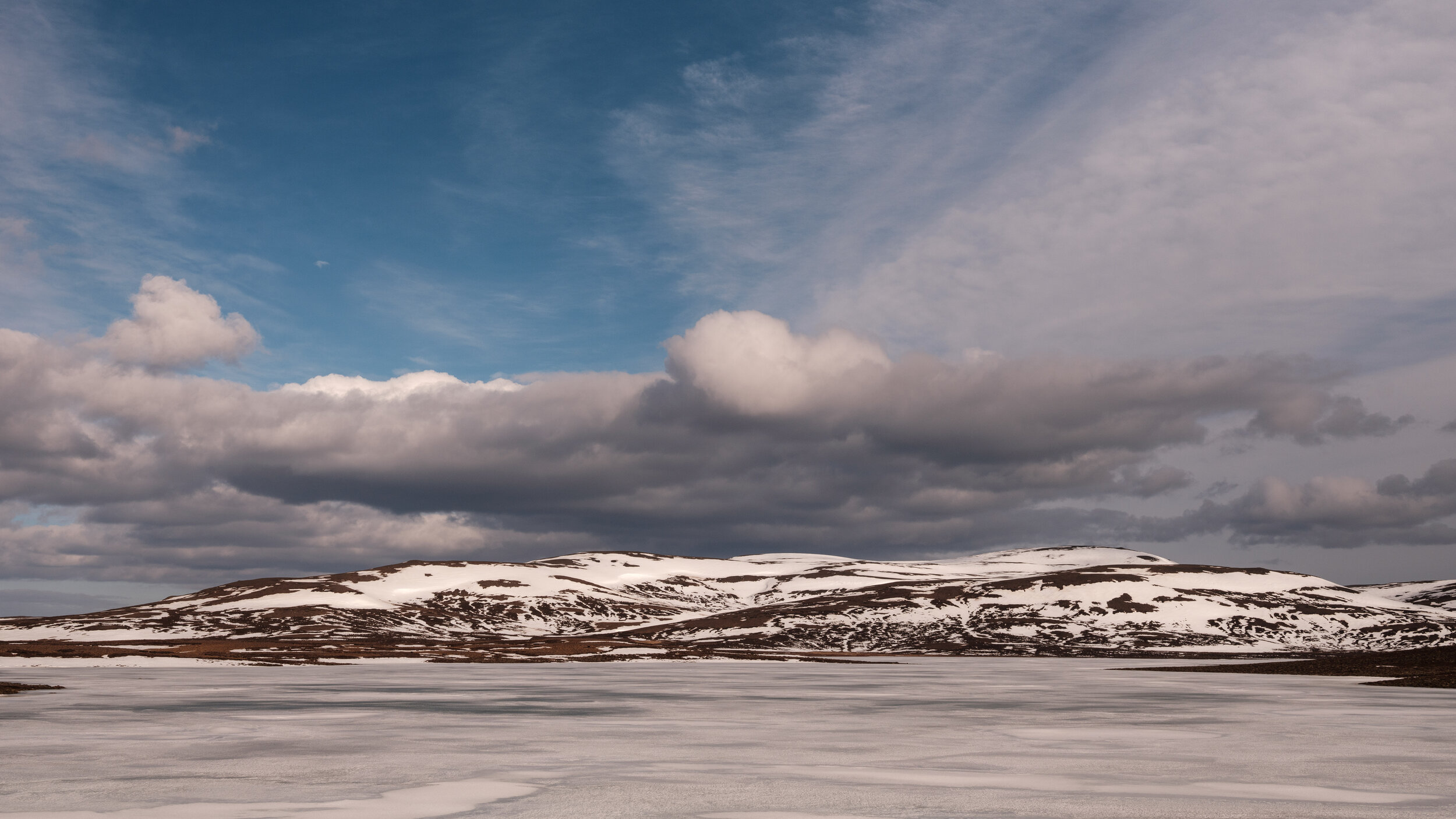 Selfjöll