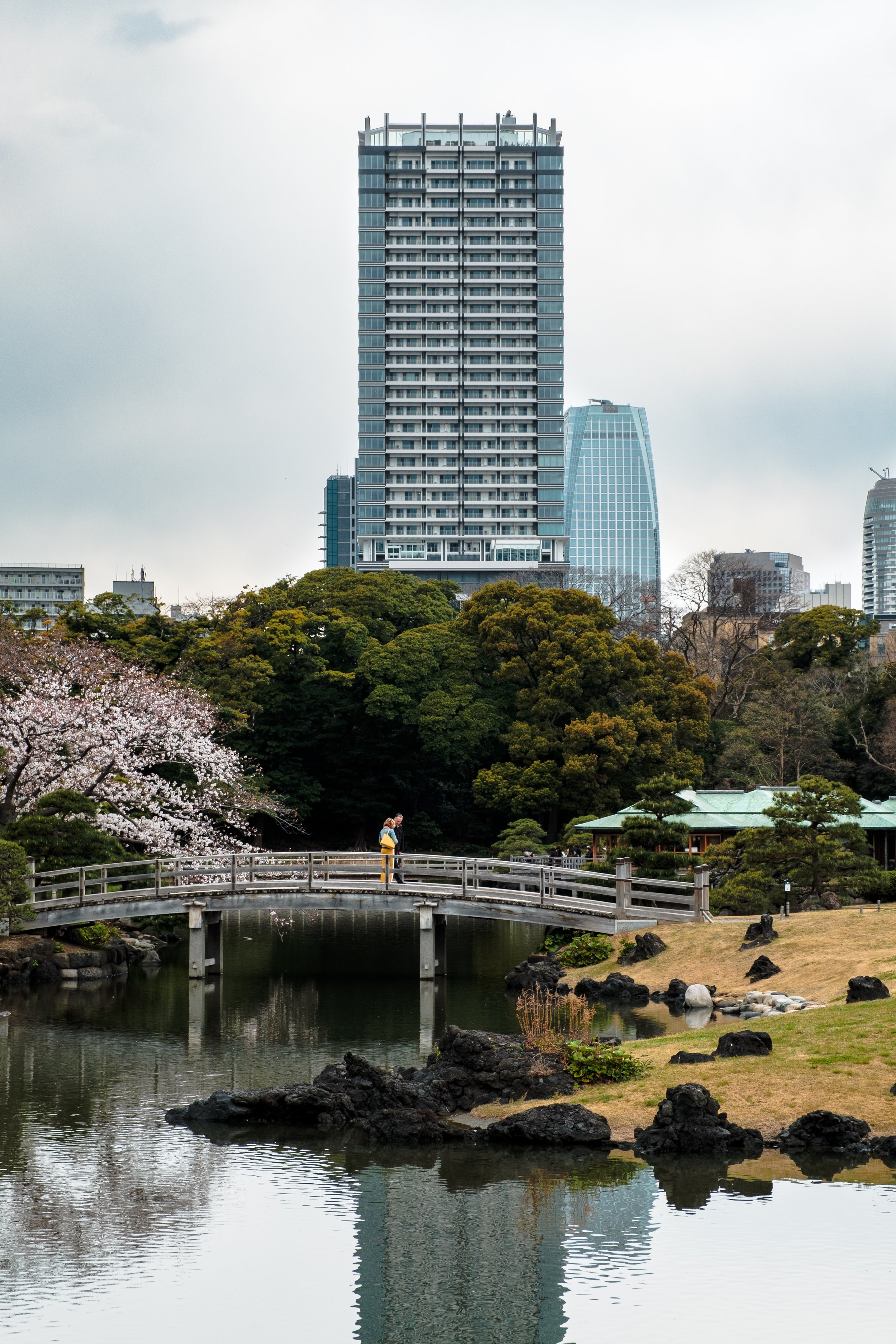Hamarikyu Gardens, Tokyo