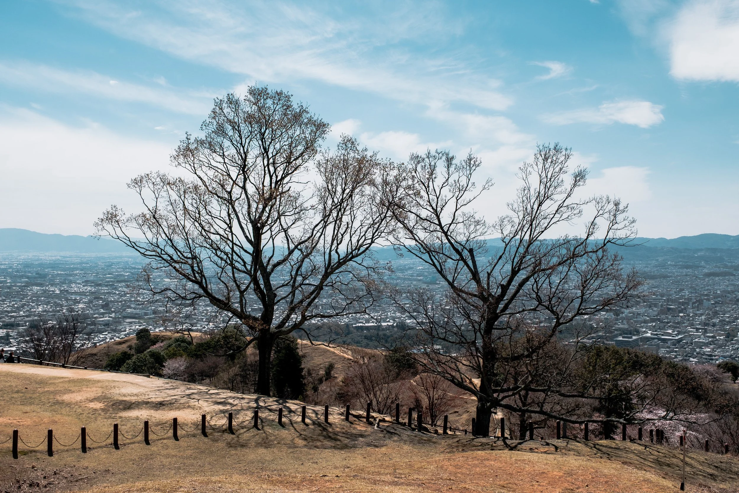 Nara