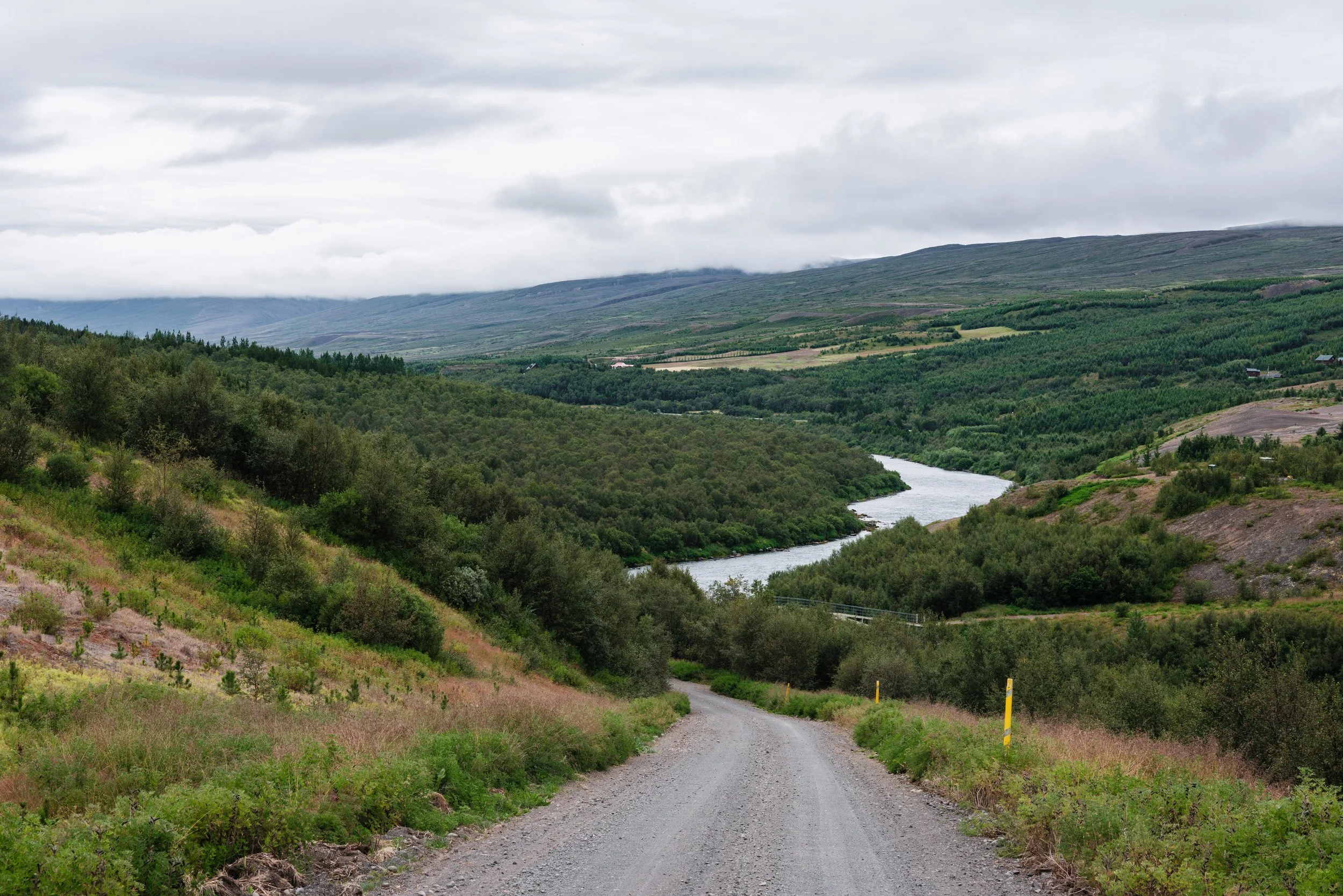 836 - Vaglaskógarvegur