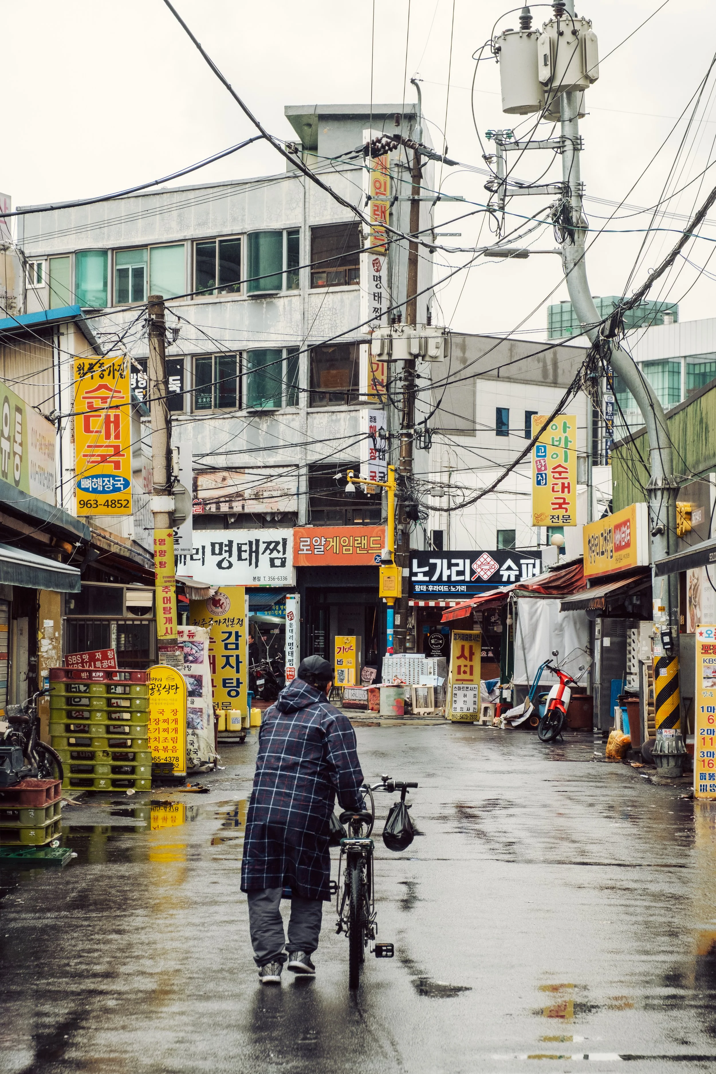 20250414-FXT52429-Edit.jpg