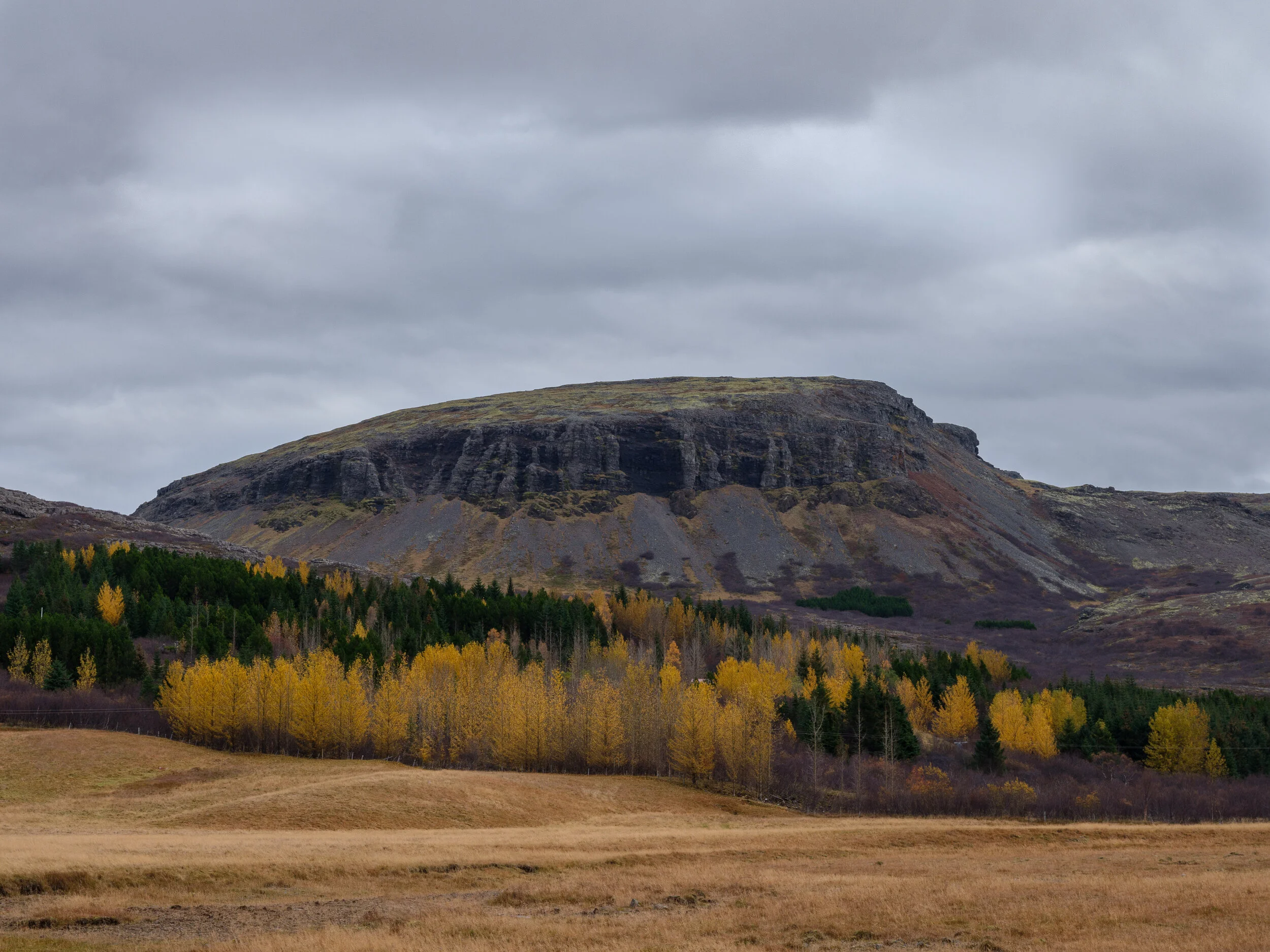 Víðhamrafjall