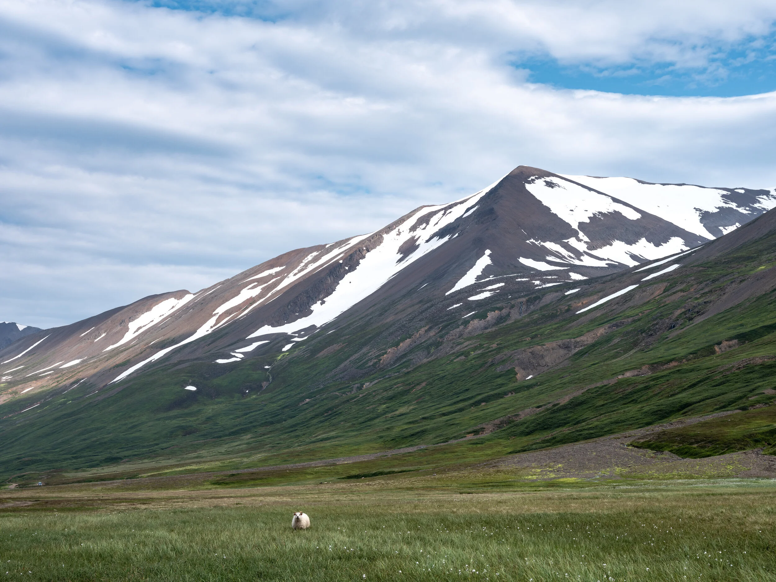 Hnausafjall
