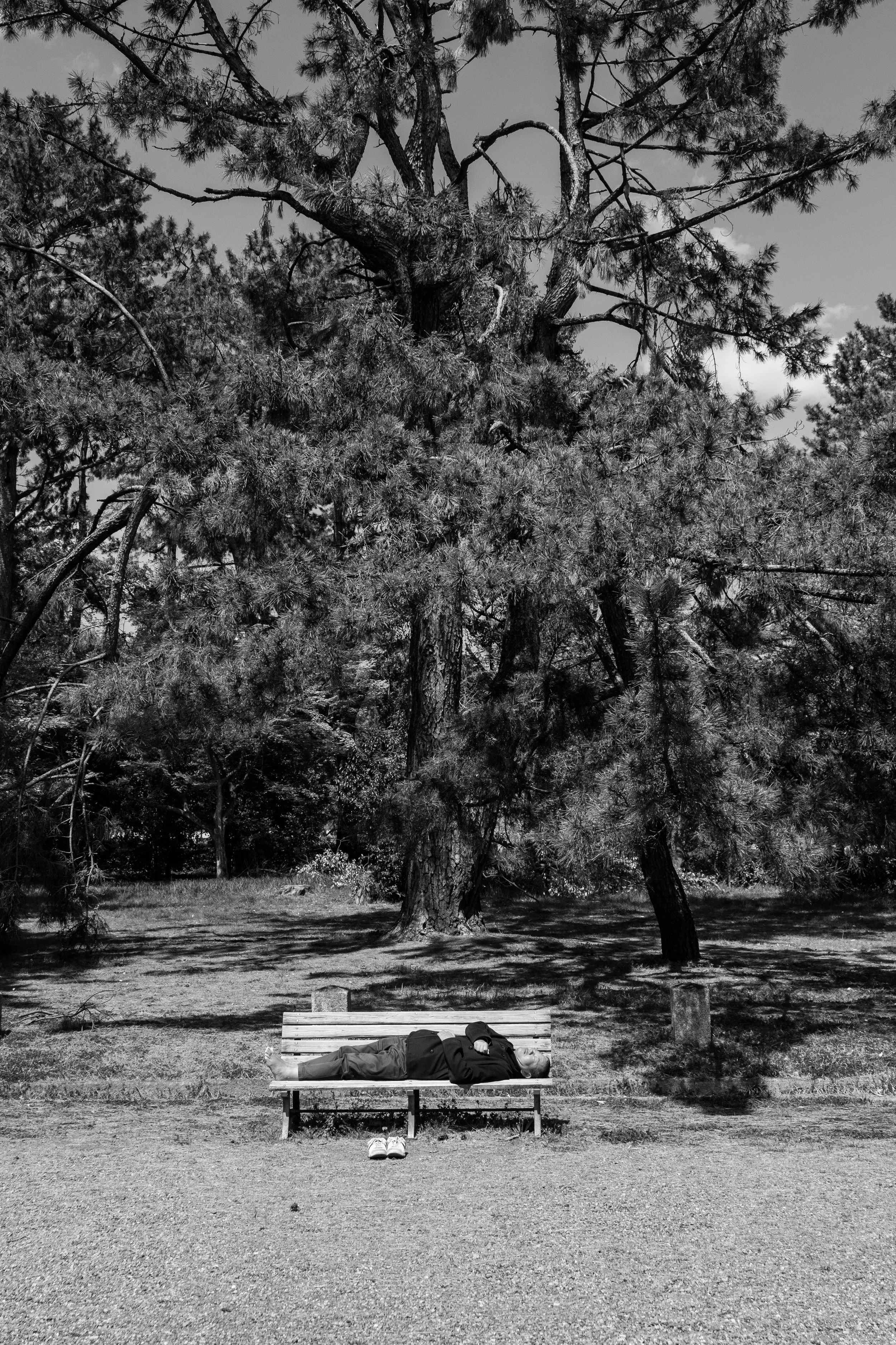 Imperial Palace, Kyoto