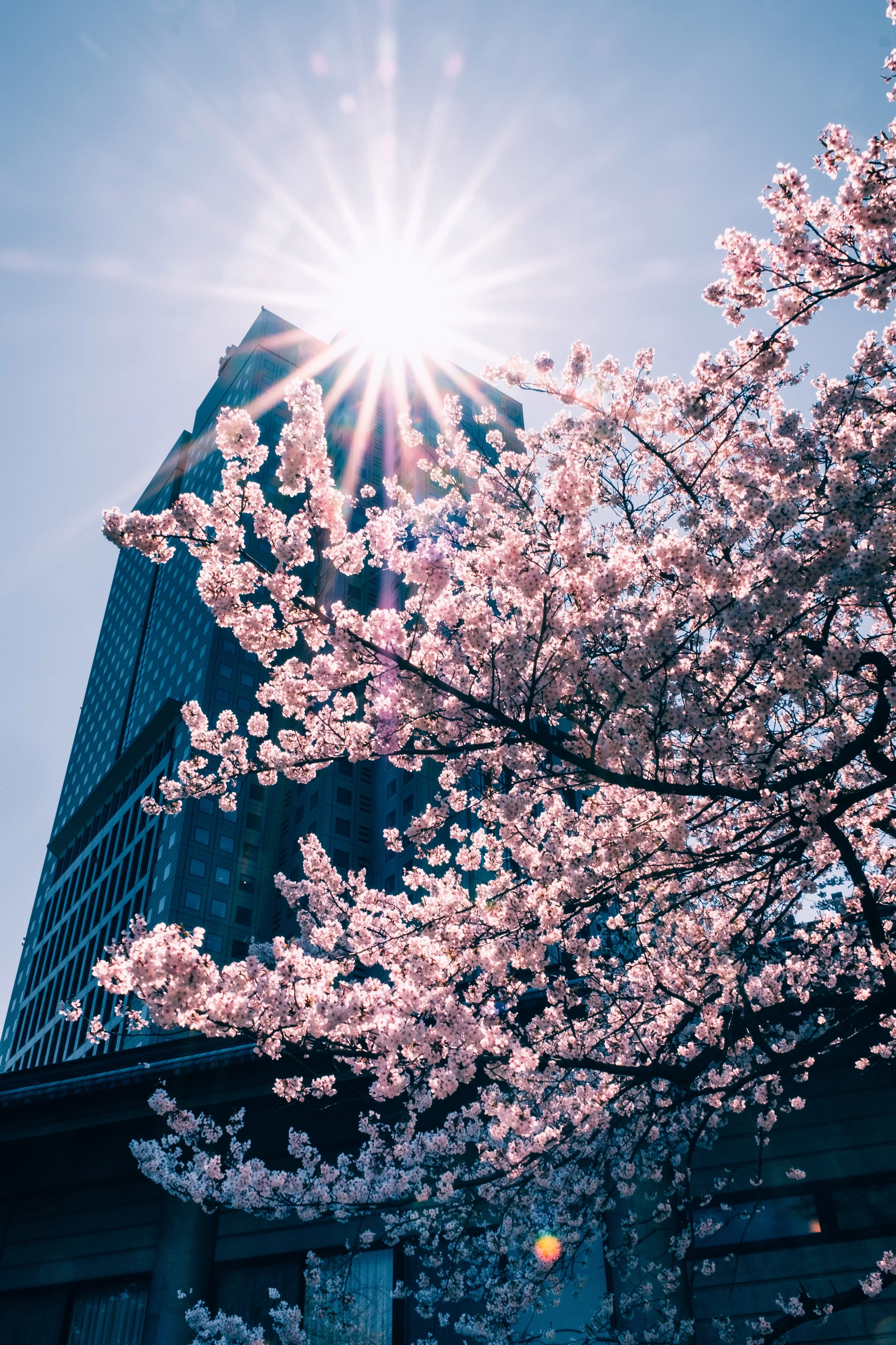 Hie hofið, Tokyo