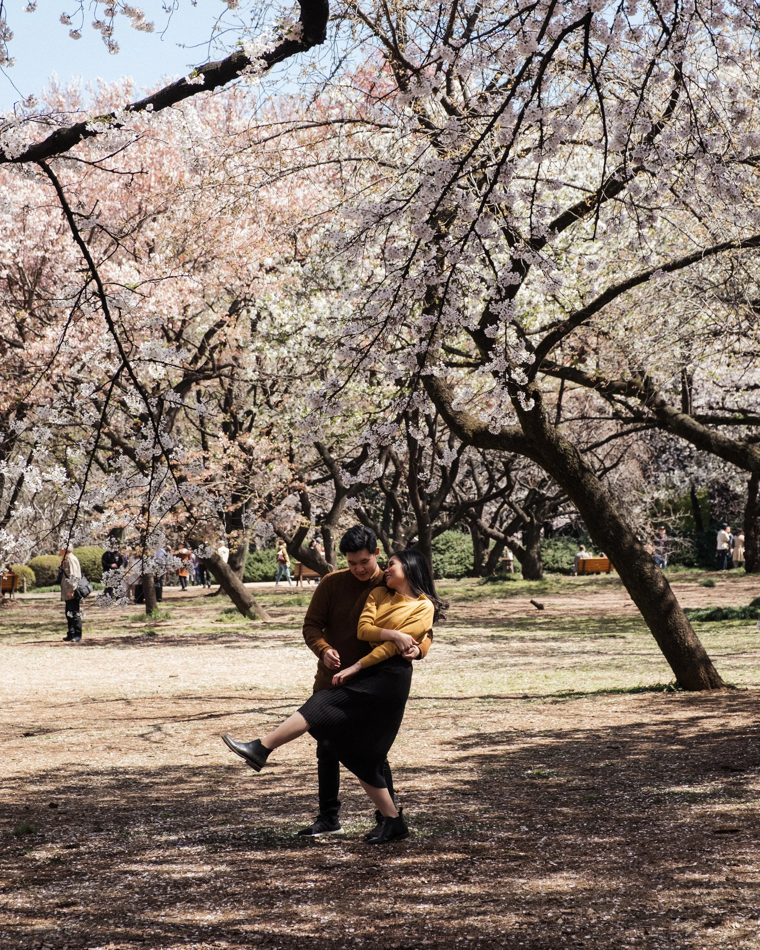Goyen Park, Tokyo