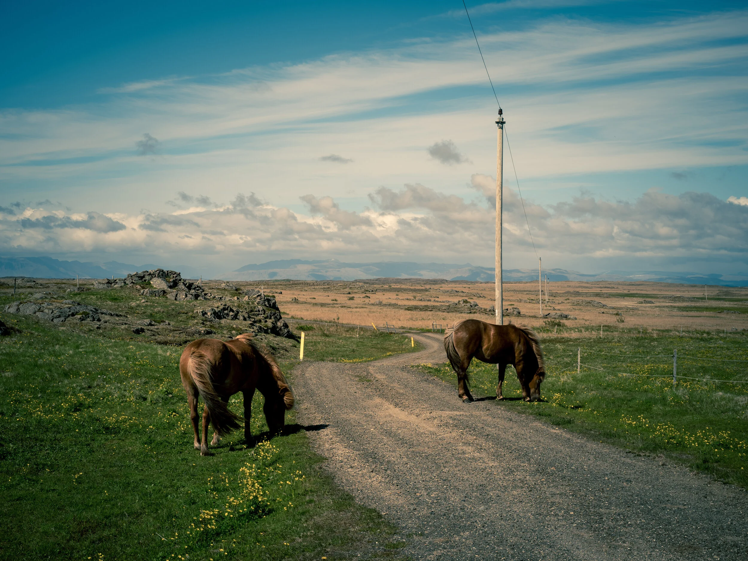 534 - Álftanesvegur