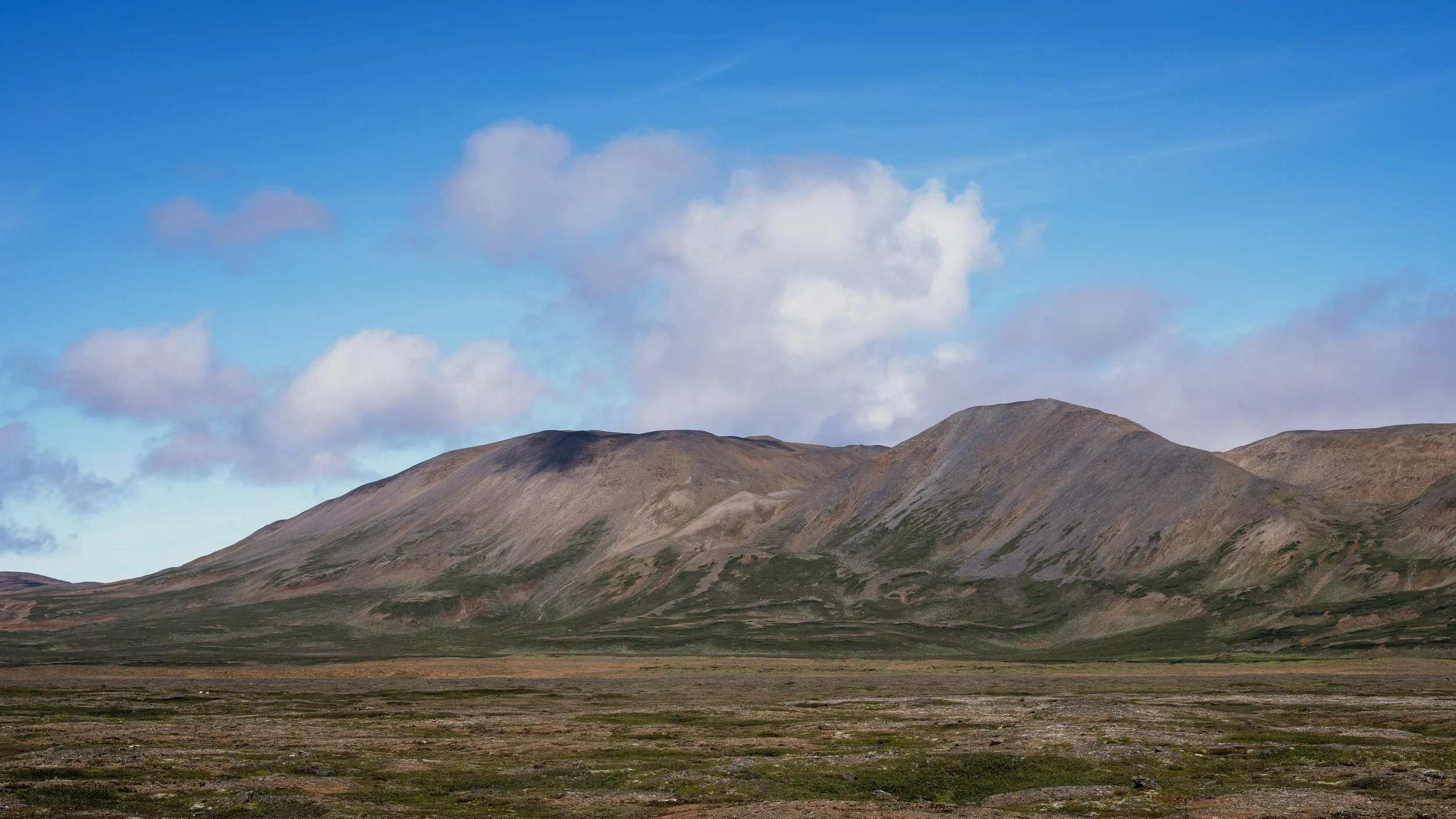 Grísatungufjöll