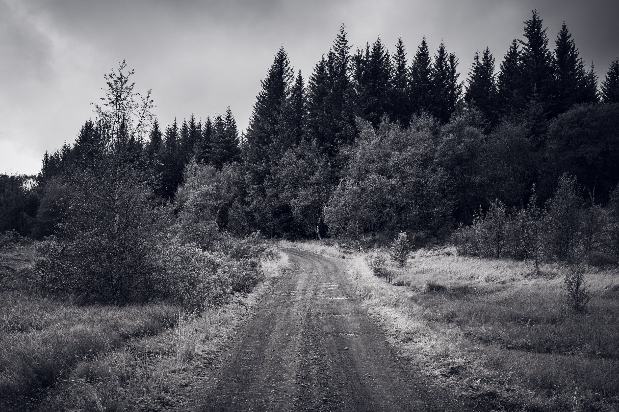 333 - Haukadalsvegur