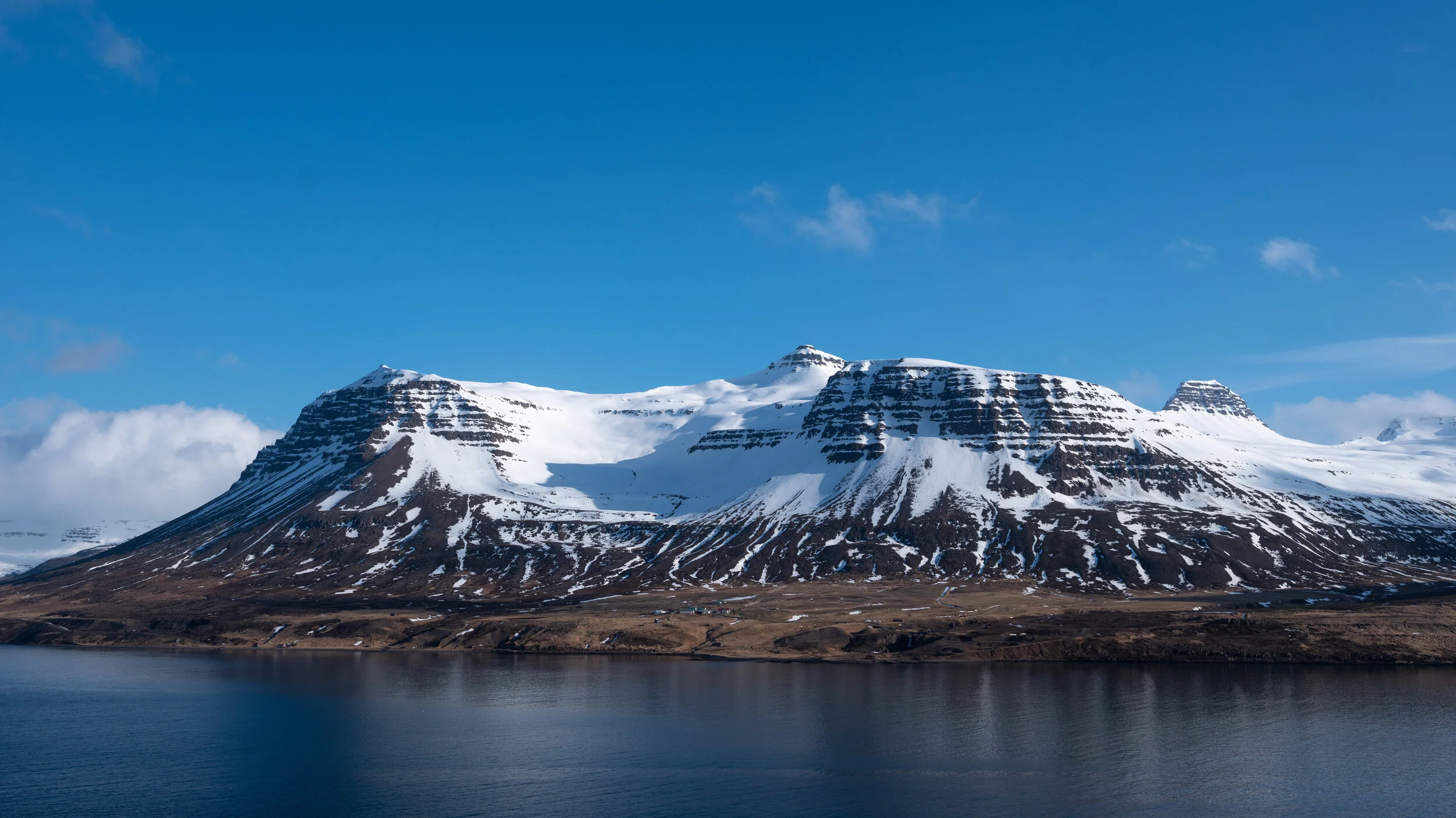 From left: Flanni, Bægsli, Hánefur, Snjófell