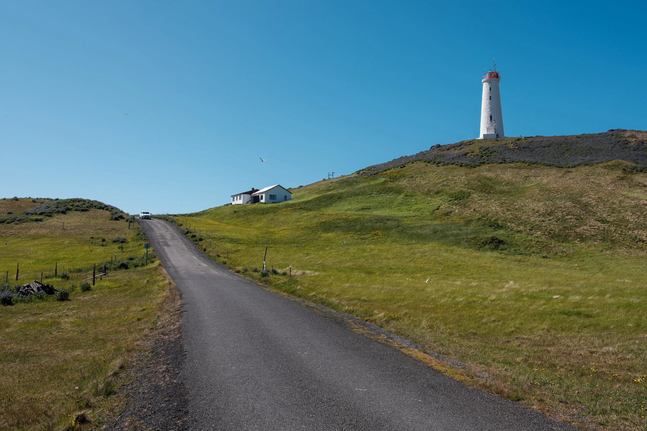 443 - Reykjanesvitavegur