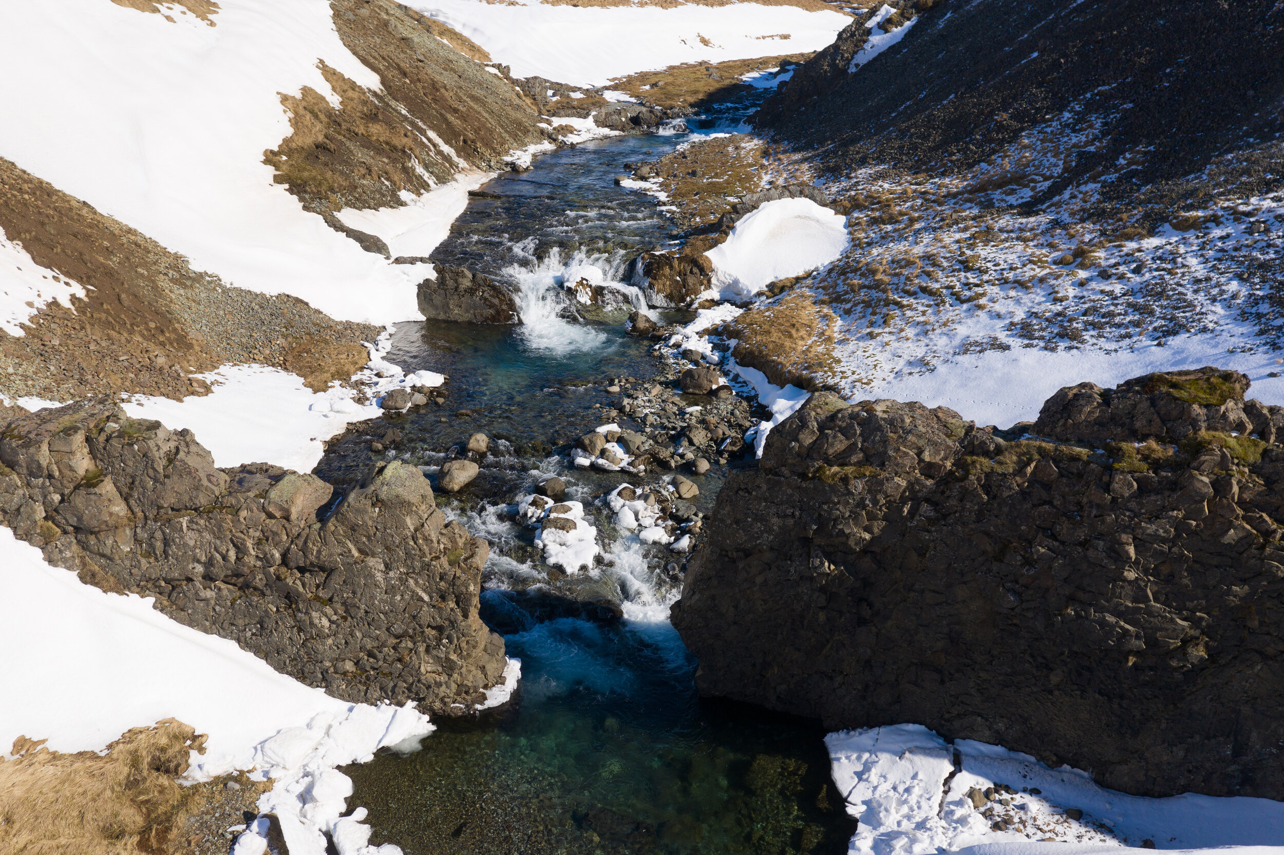 Dyrafoss