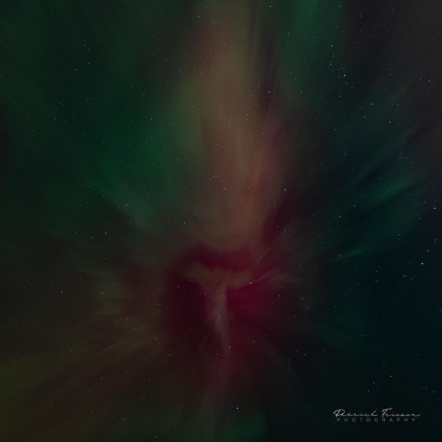 More from the Rosenthal Nature Park