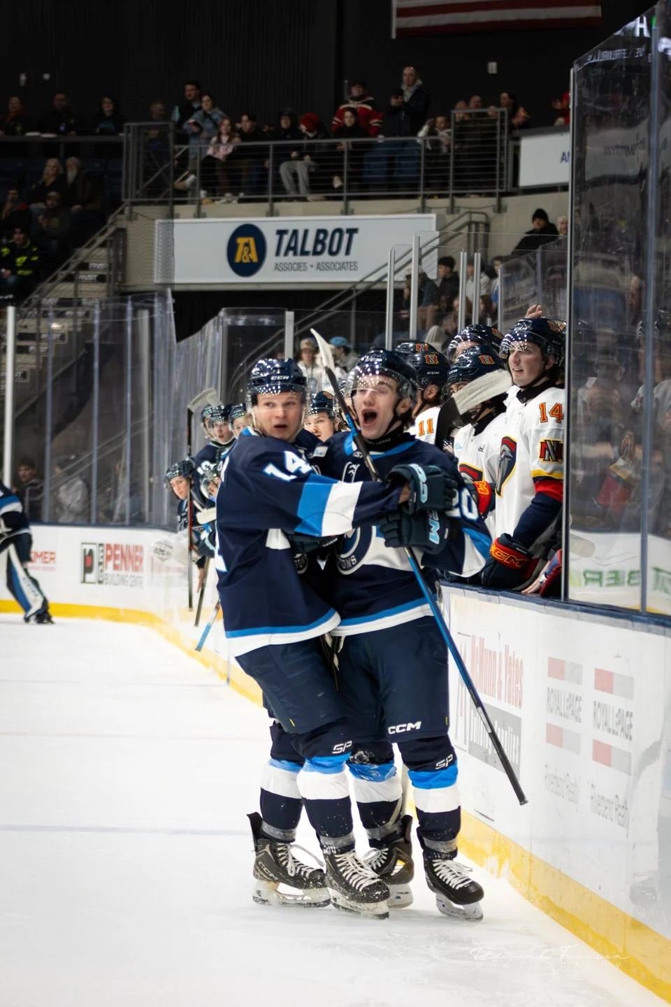 Feb 13 vs Niverville-3.jpg