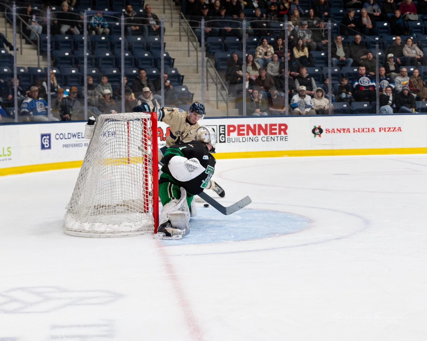 Feb 7 vs Portage-10.jpg