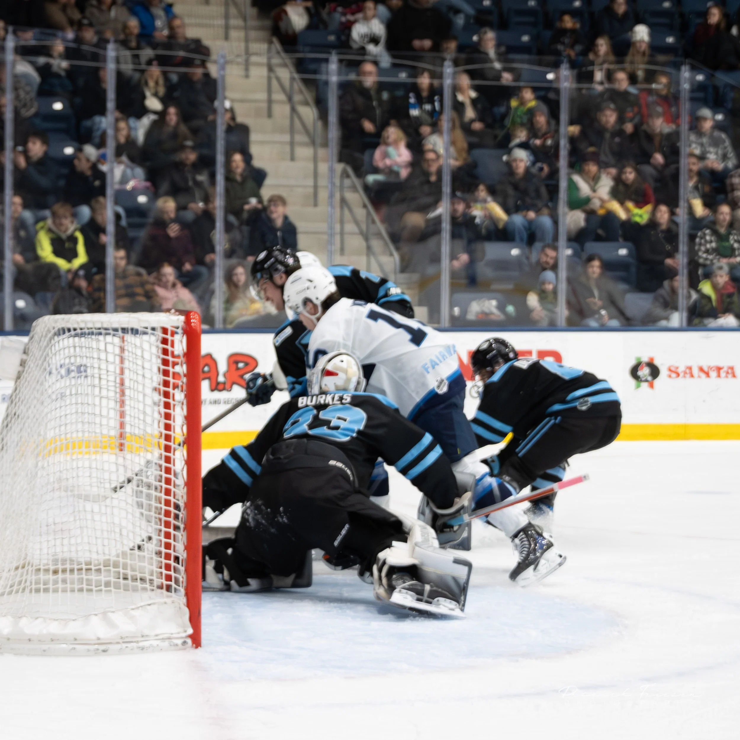 Dec 31 vs Blues-10.jpg