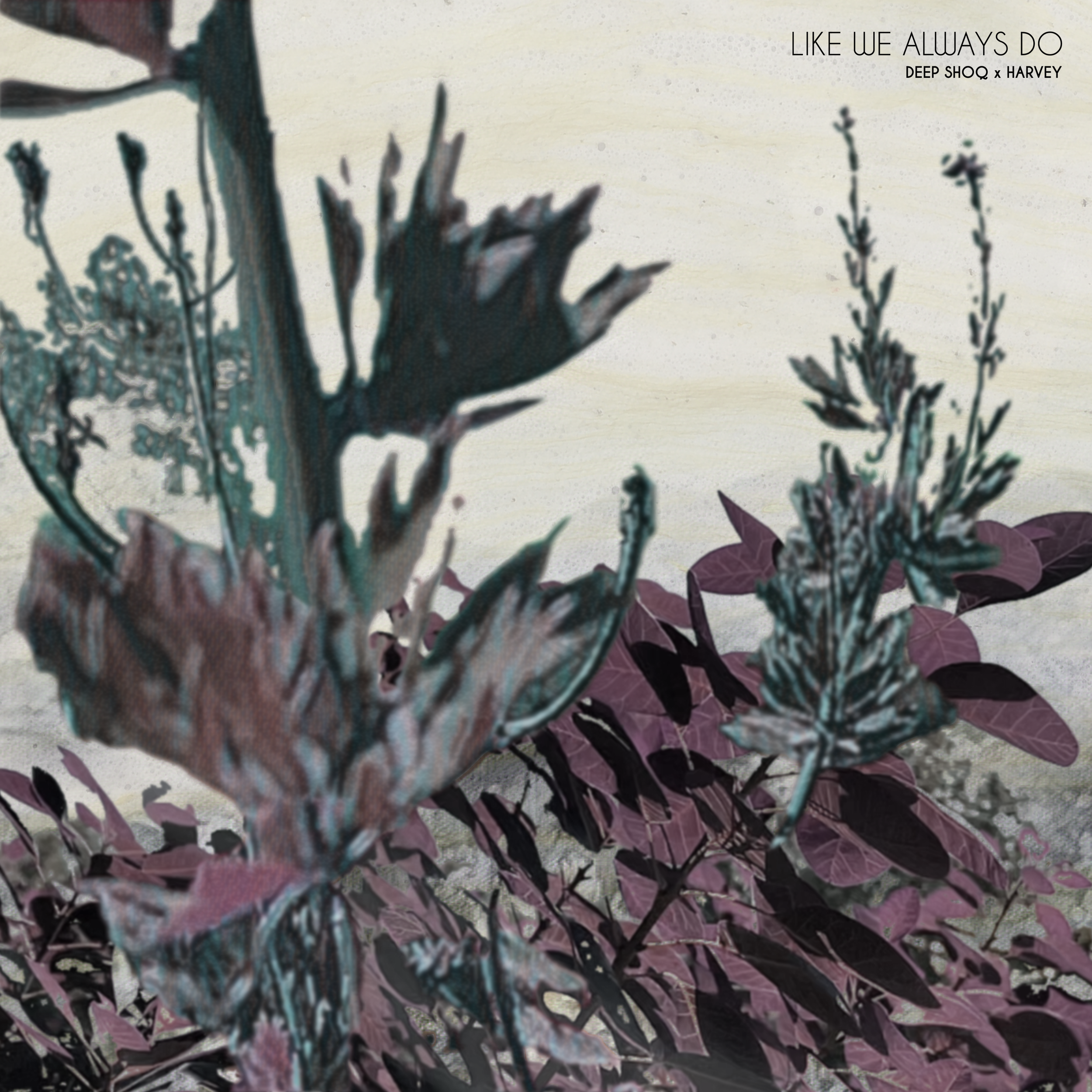 LWAD_COVER_ART.png