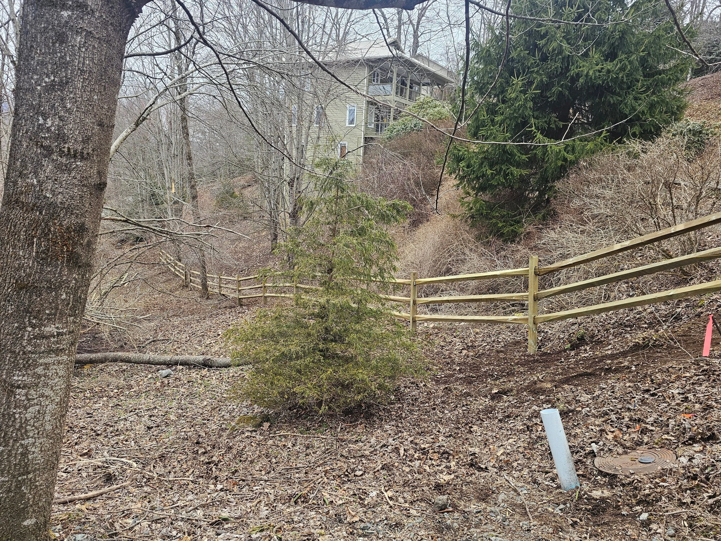 A wooded hillside with a wooden fence running along the terrain, leafless trees, a small green pine tree, and a house in the background. The ground is covered with leaves and debris, and there is a pipe protruding from the ground.