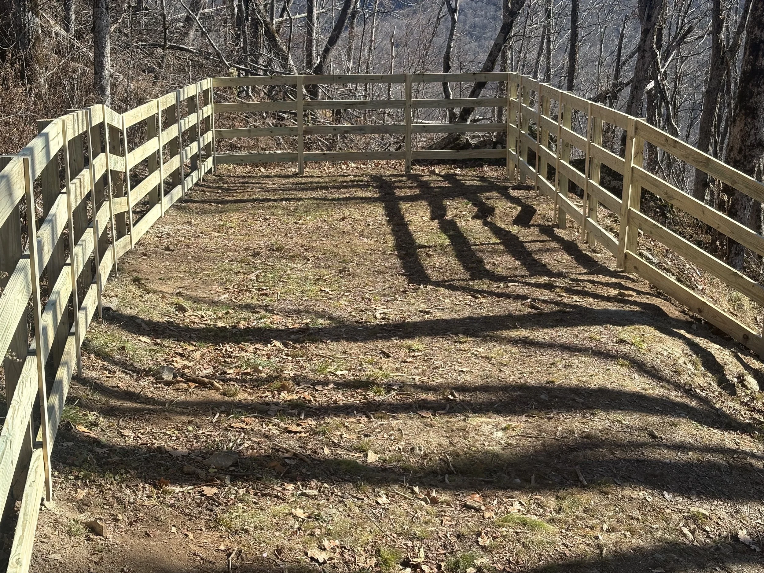 A wooden railing on a dirt trail in a wooded area with leafless trees casting long shadows.