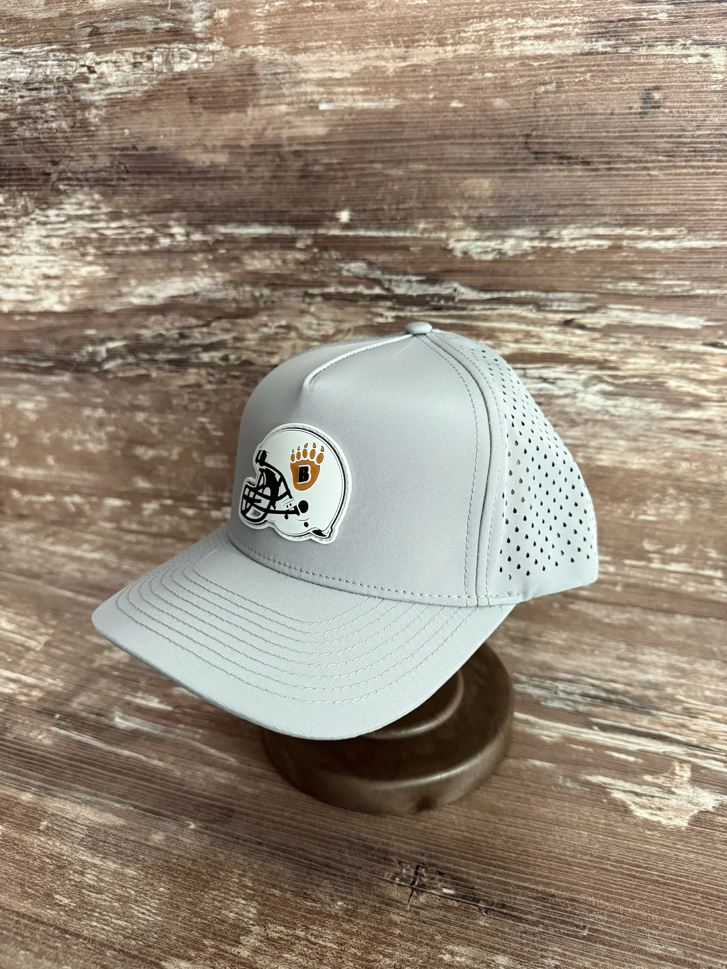 grey side white bear.jpg