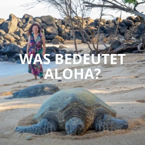 Was bedeutet Aloha?