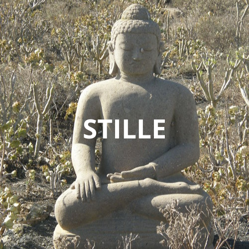 IN DER STILLE LIEGT DIE KRAFT