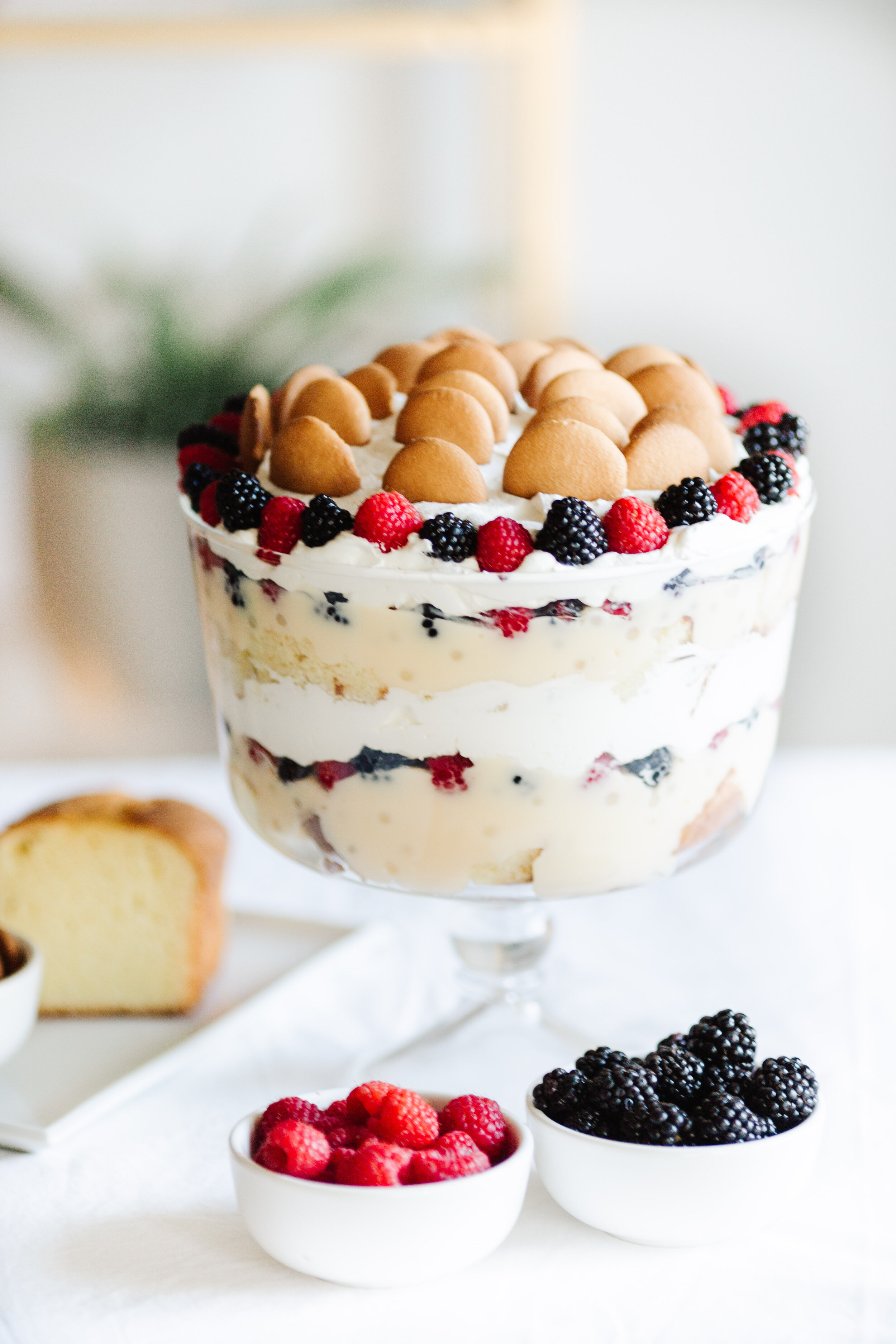 Berry Medley Tapioca Truffle-1.jpg